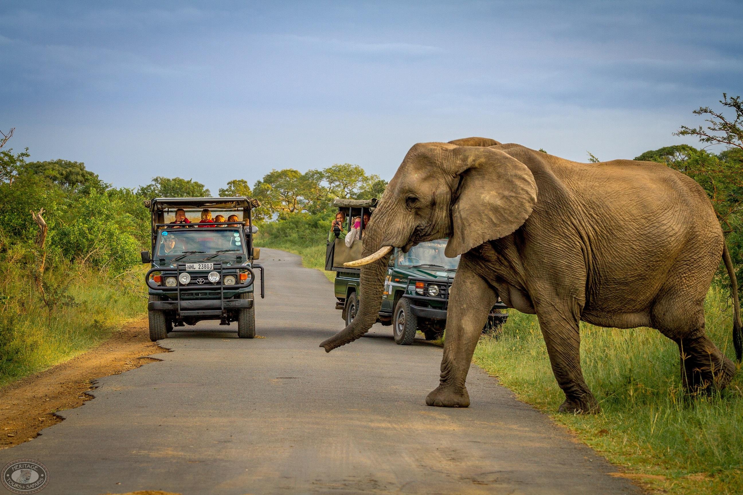 3-Day Hluhluwe-Imfolozi & iSimangaliso Safari from Durban