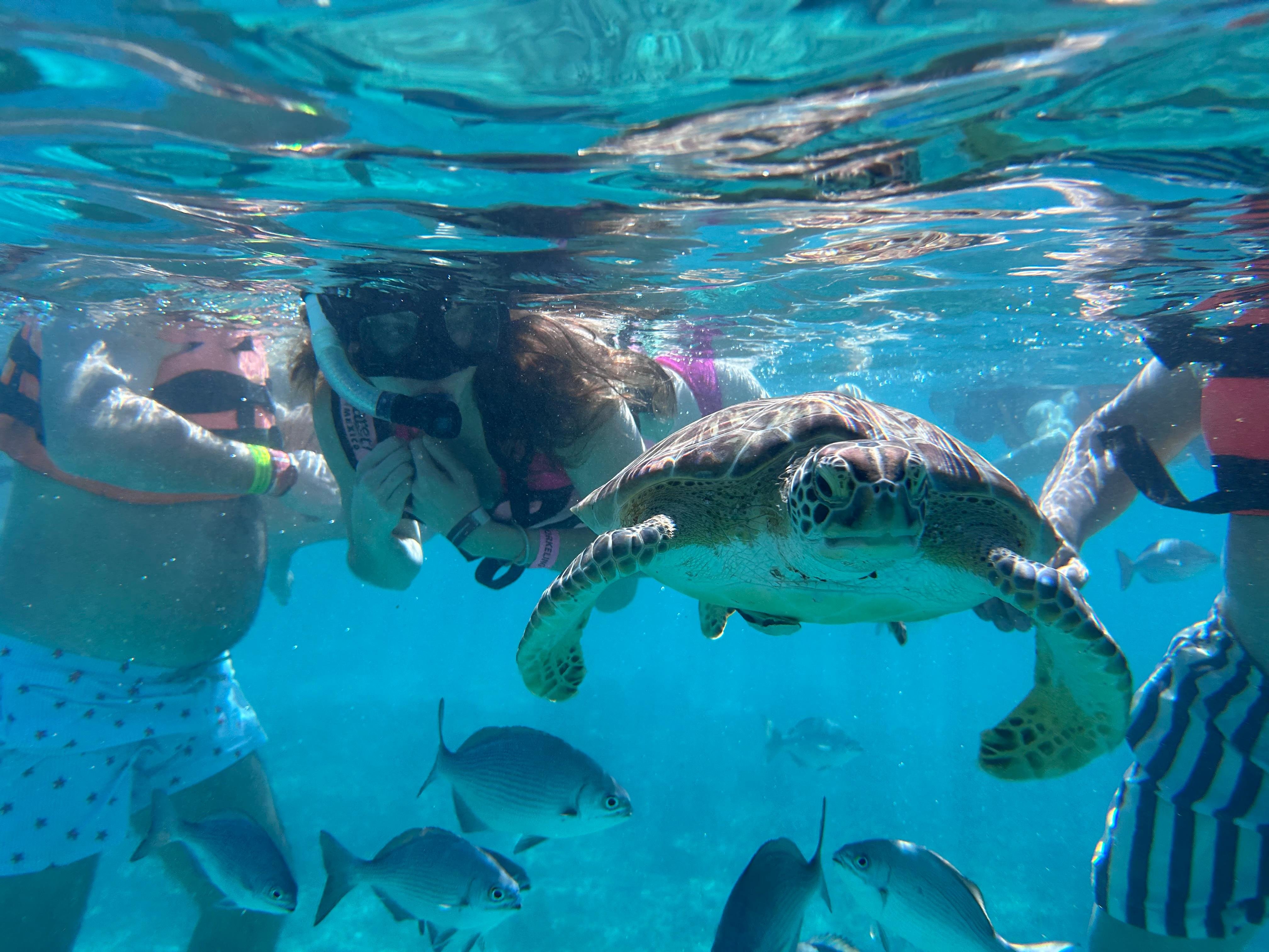 Tulum Two-Stop Reef Snorkel Tour
