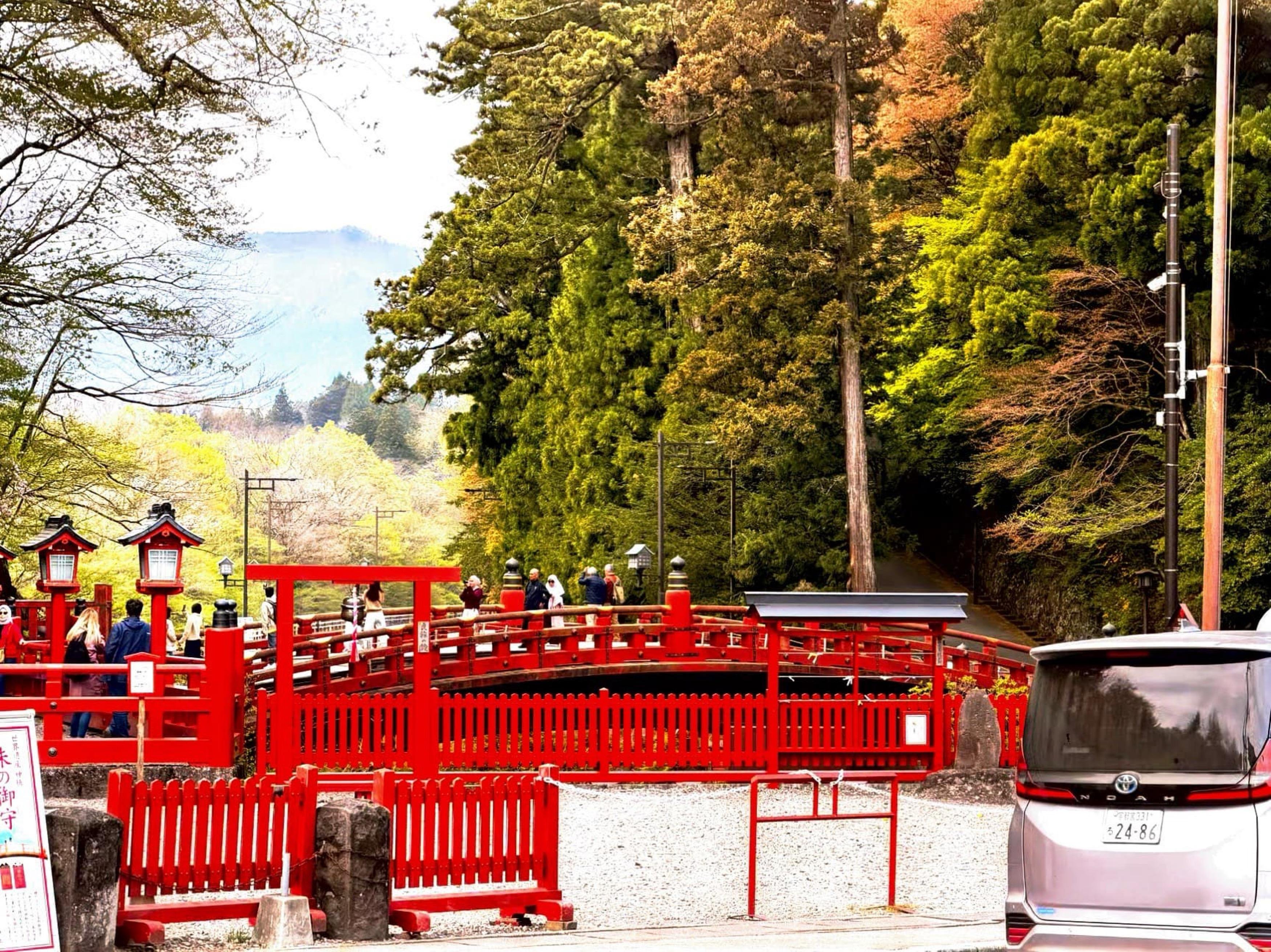 Nikko Photography Day Tour from Tokyo – Private & Customizable