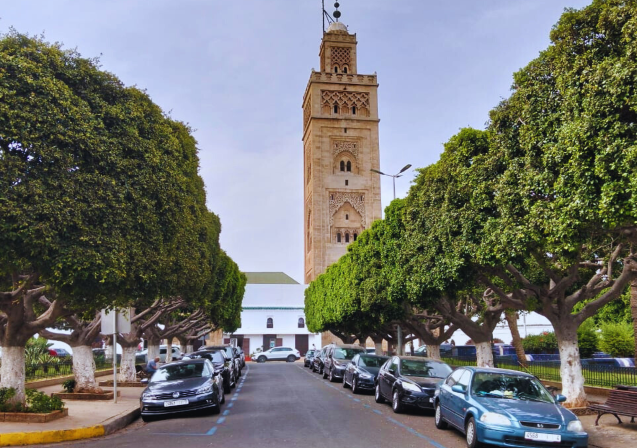 Full-Day Casablanca Cultural Trip from Marrakech