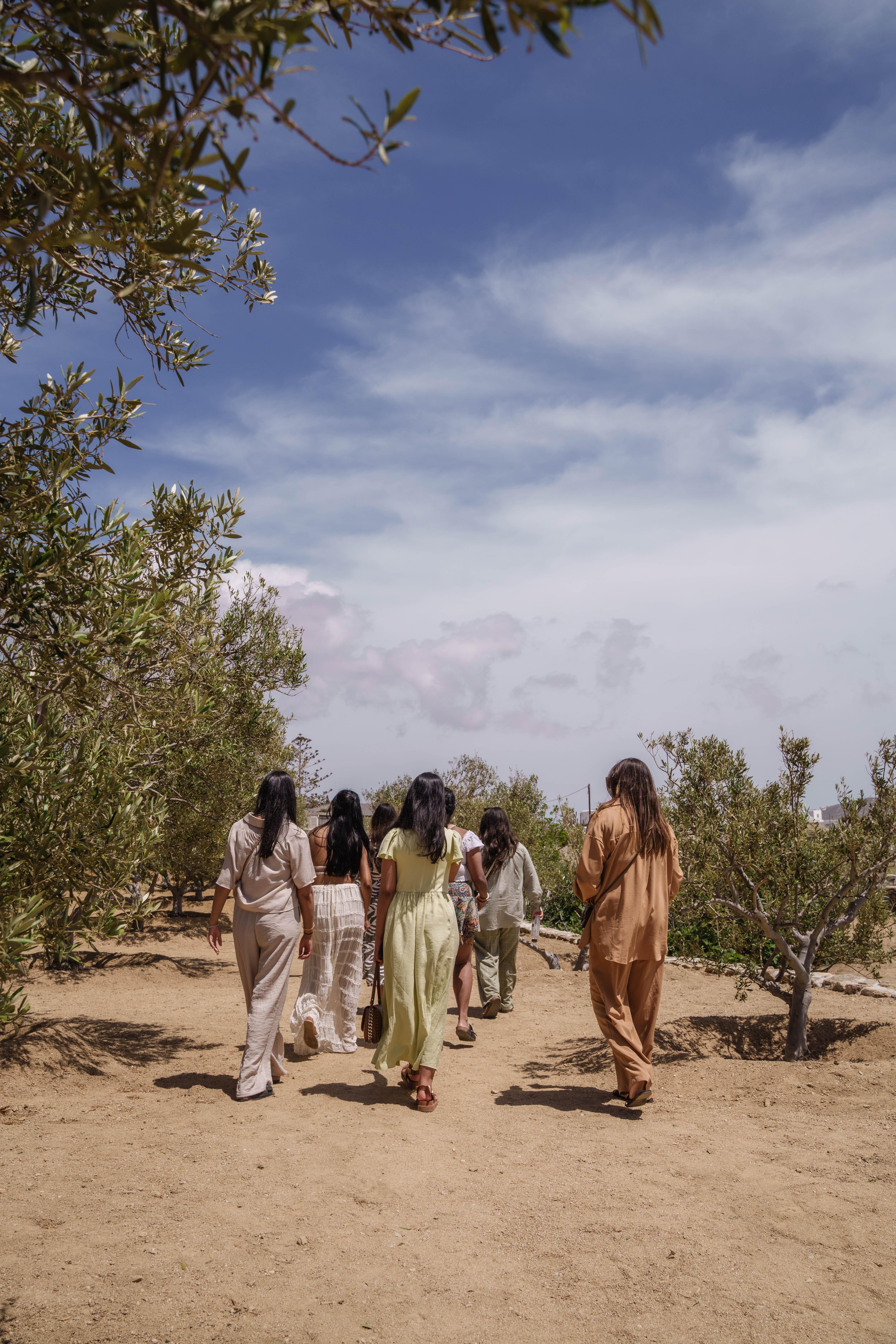 Mykonos Organic Vineyard Tour with Wine and Local Bites