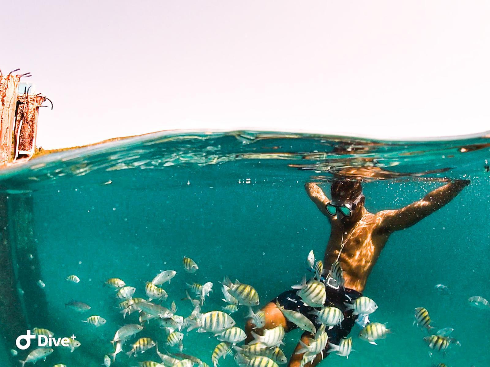 Escambron Beach Guided Snorkeling Experience