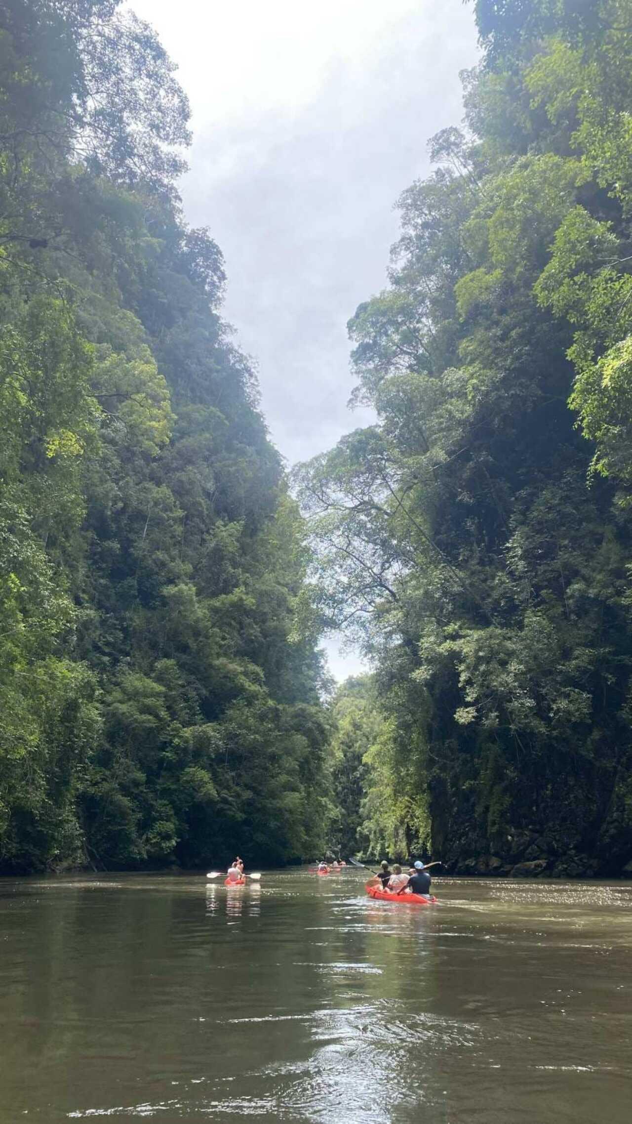 Ao Thalane Mangrove Kayaking Adventure with Hotel Pickup