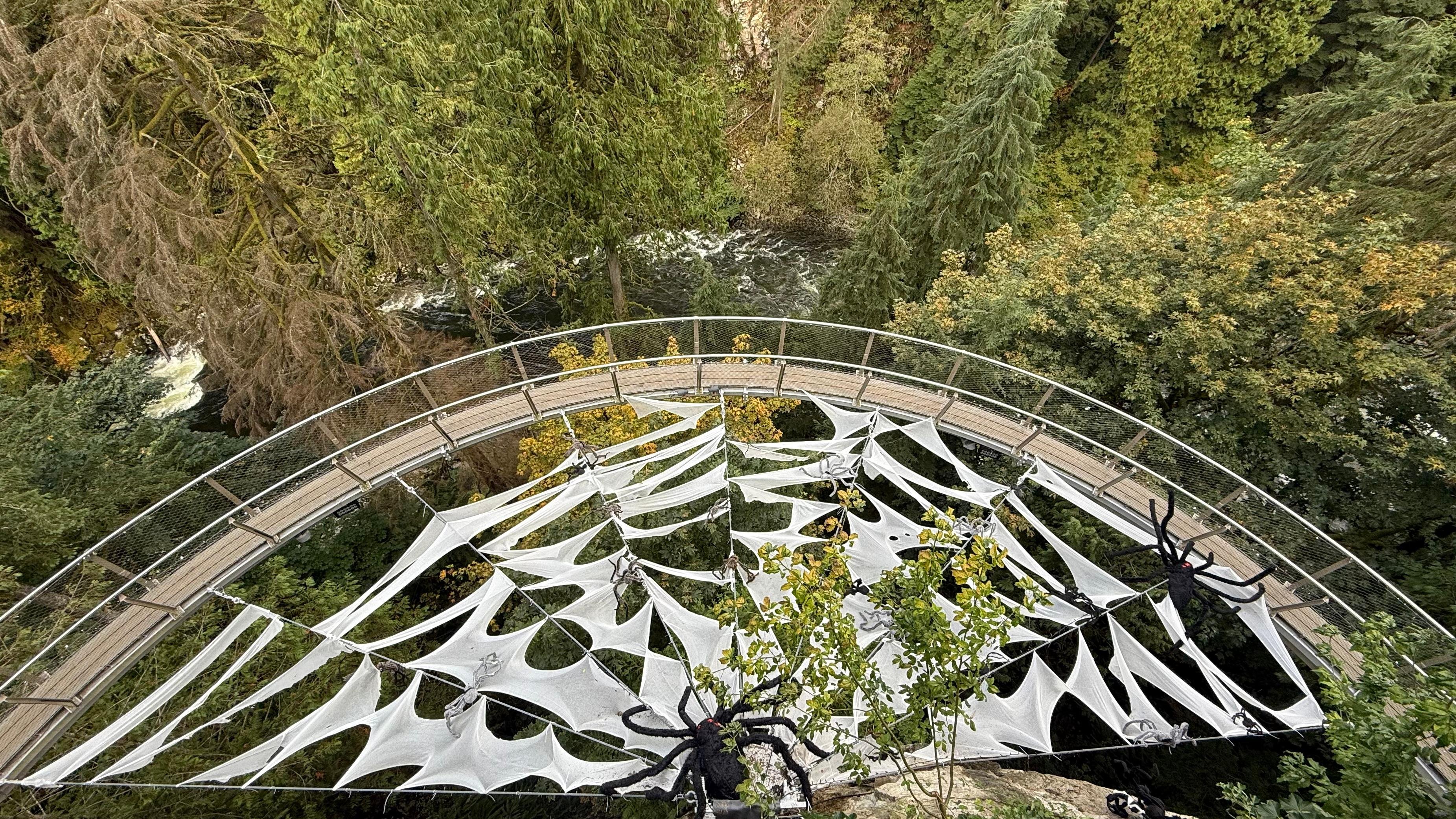 Capilano Suspension Bridge & Stanley Park Small Group Tour