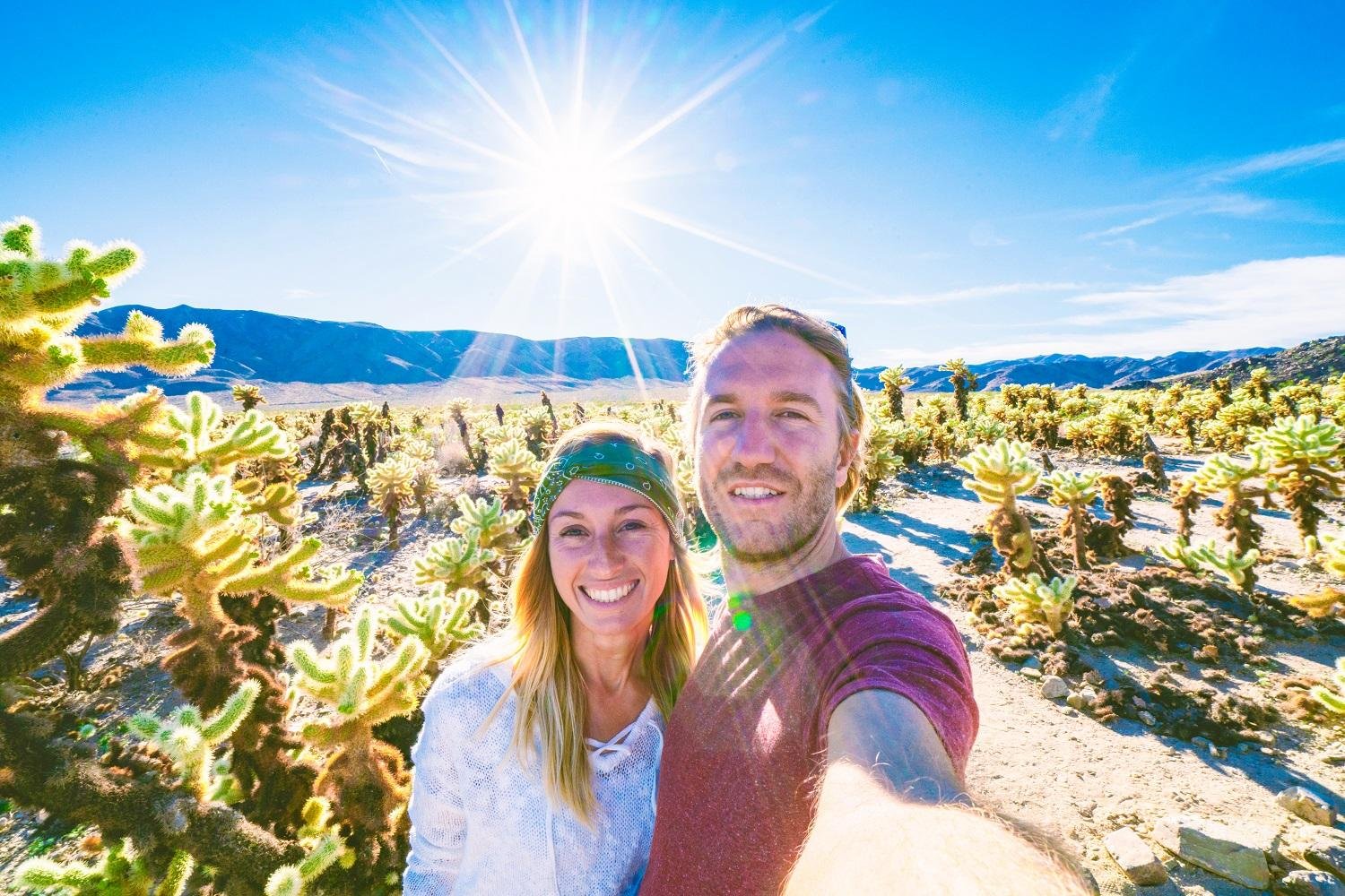 From Los Angeles: Joshua Tree National Park & Desert Small-Group Day Tour