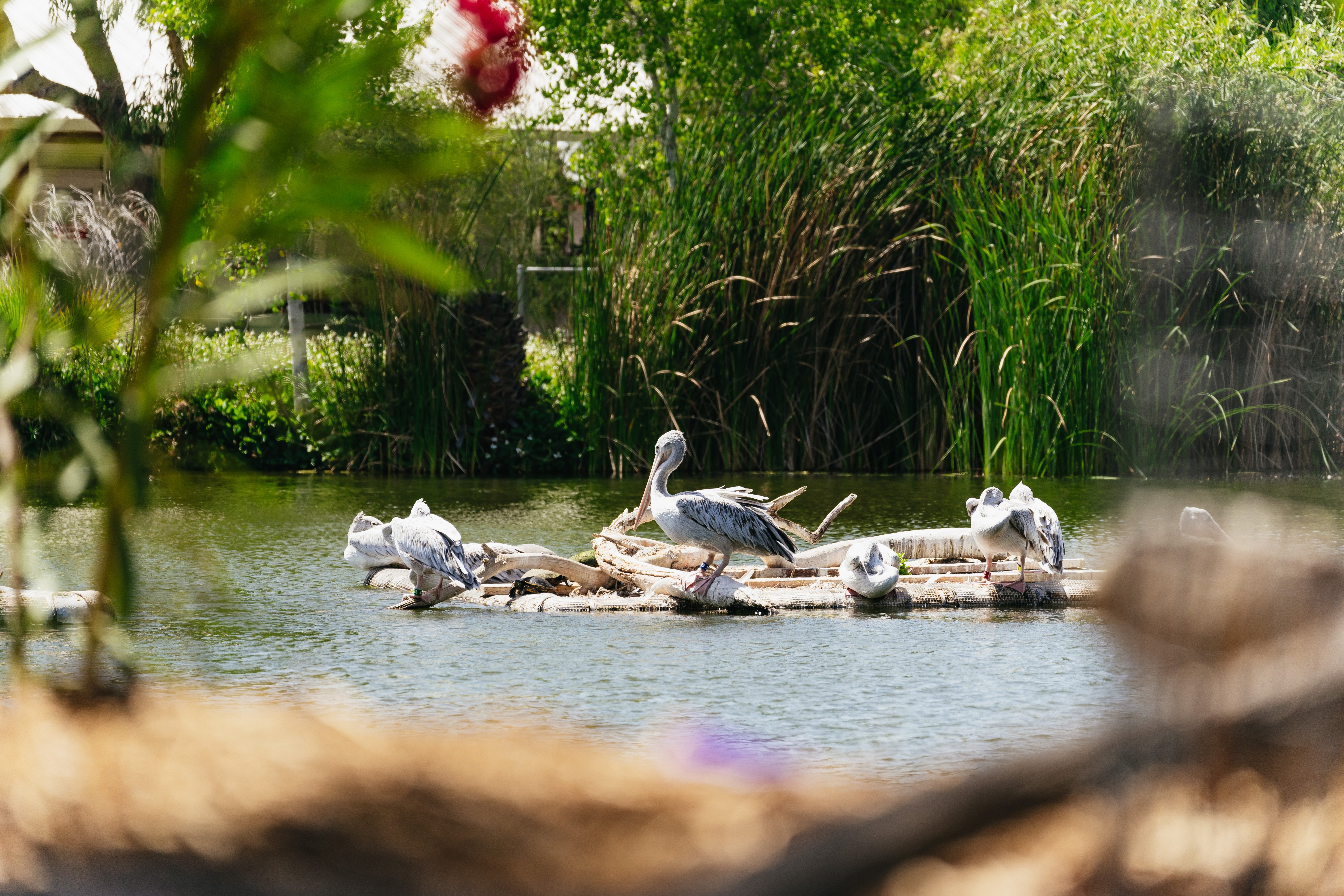 Phoenix Zoo: General Admission Ticket