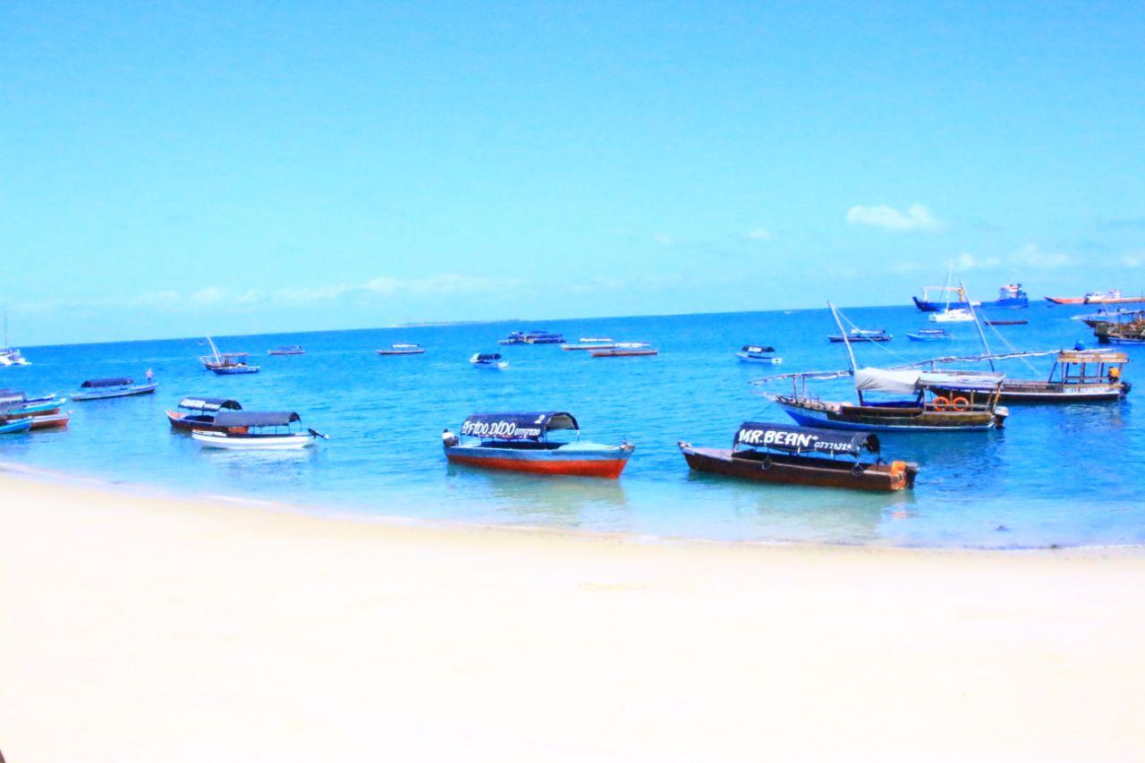 Mnemba Island Dolphin & Snorkeling Half-Day Tour