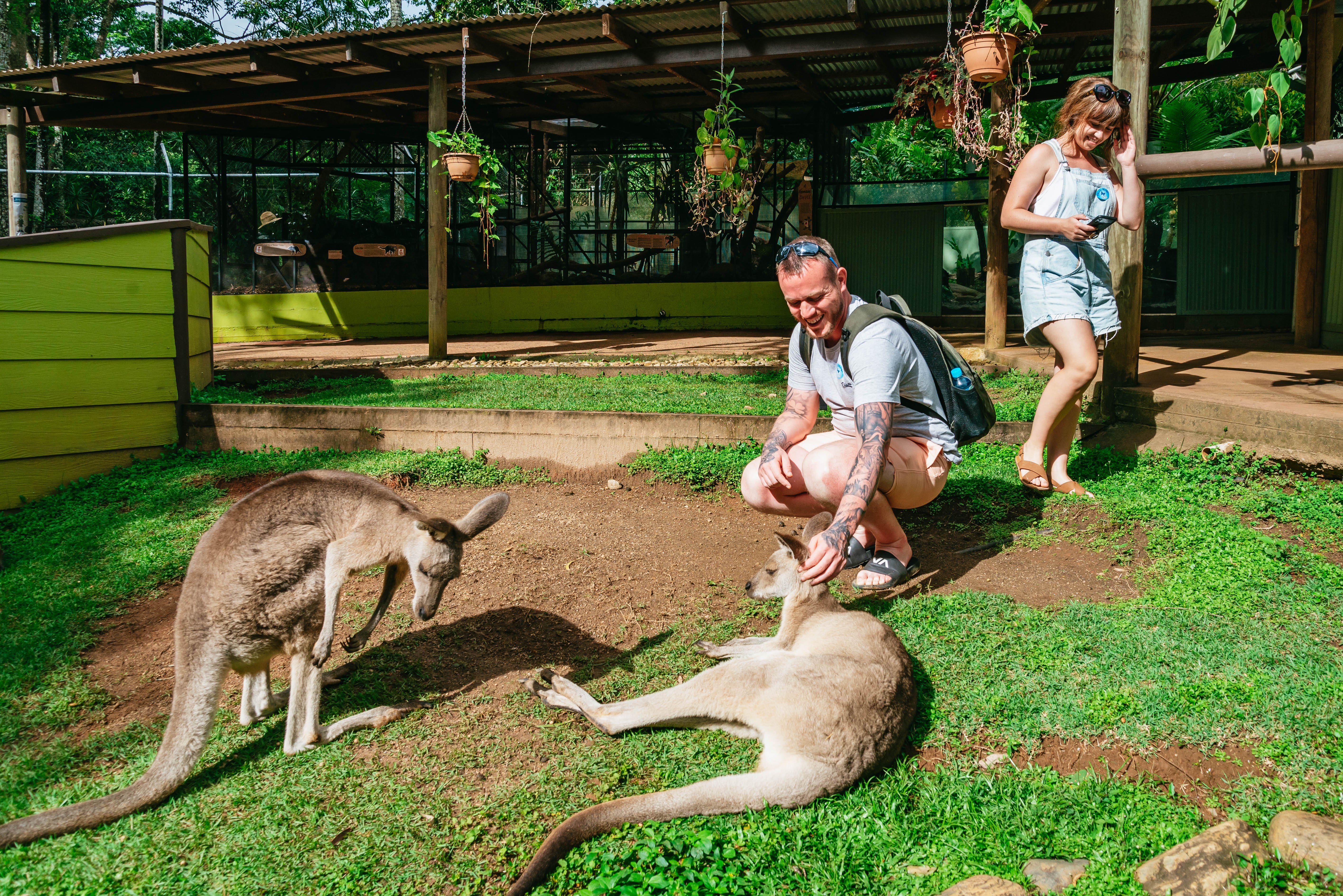 Kuranda Rainforest Full-Day Experience from Cairns