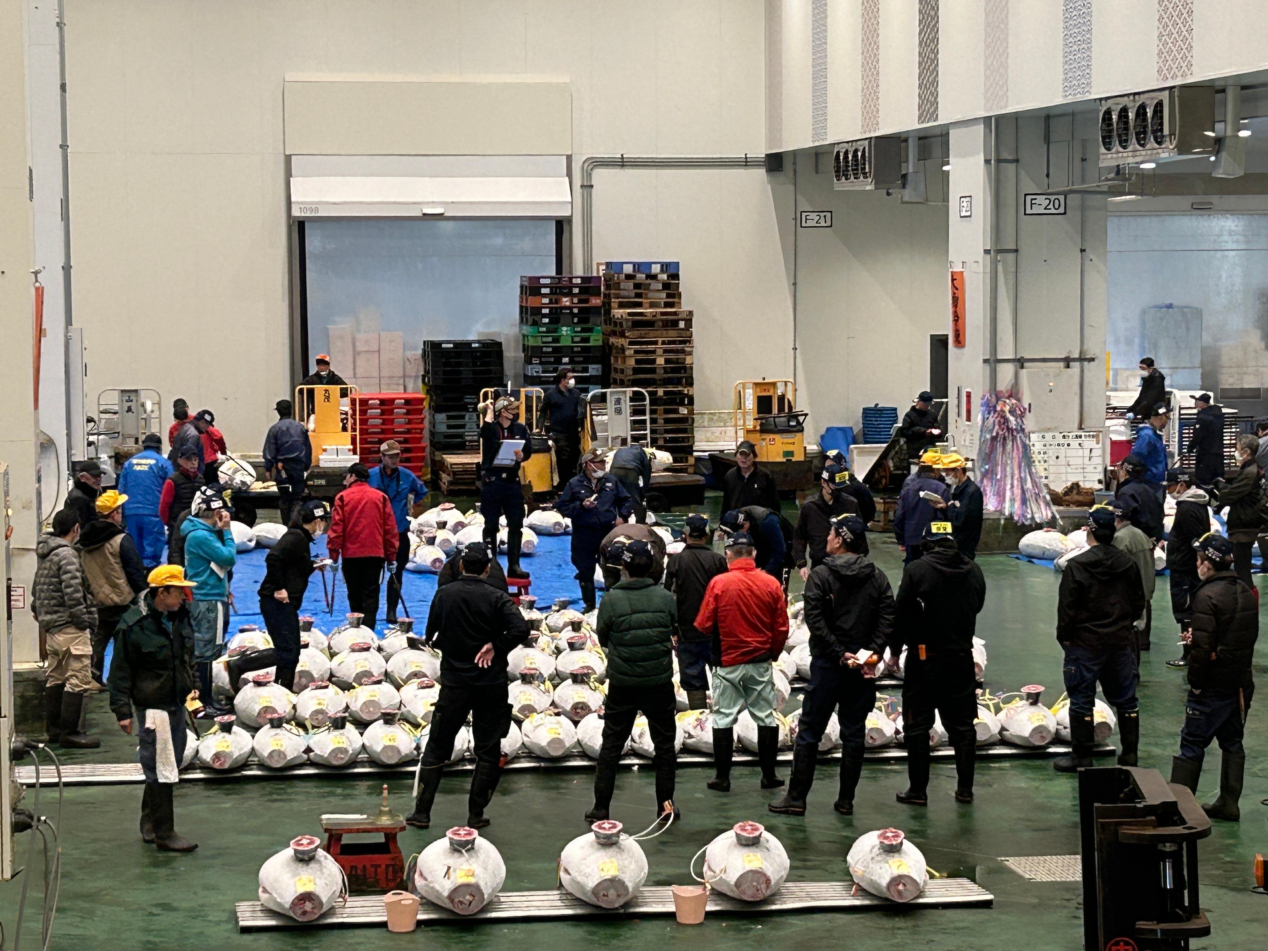 Toyosu tuna auction tour — bluefin auction floor, buyers grading, Tsukiji market — image 1