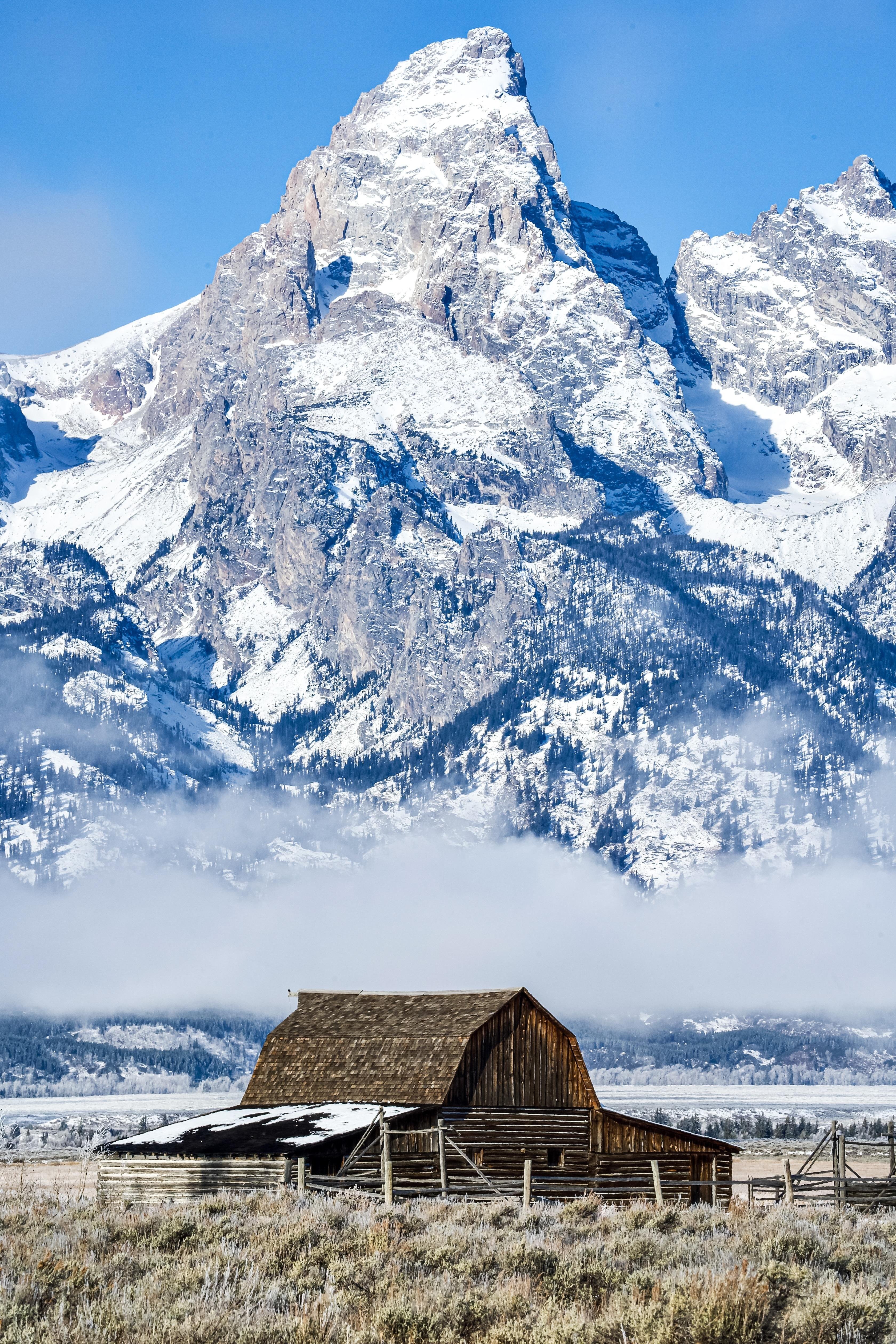 Grand Teton Wildlife Safari with Elk Refuge Visit