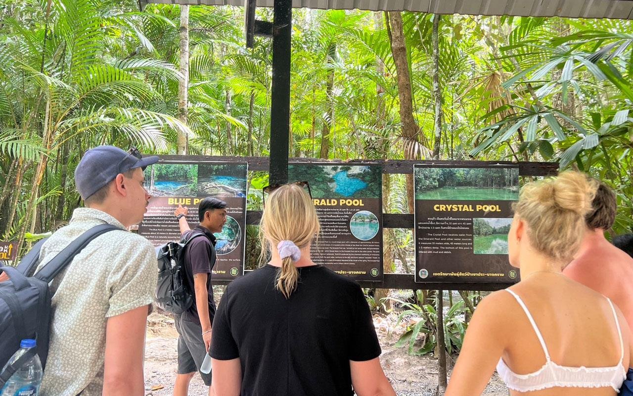 Krabi Jungle Day Tour: Hot Springs, Emerald Pool & Tiger Cave Temple