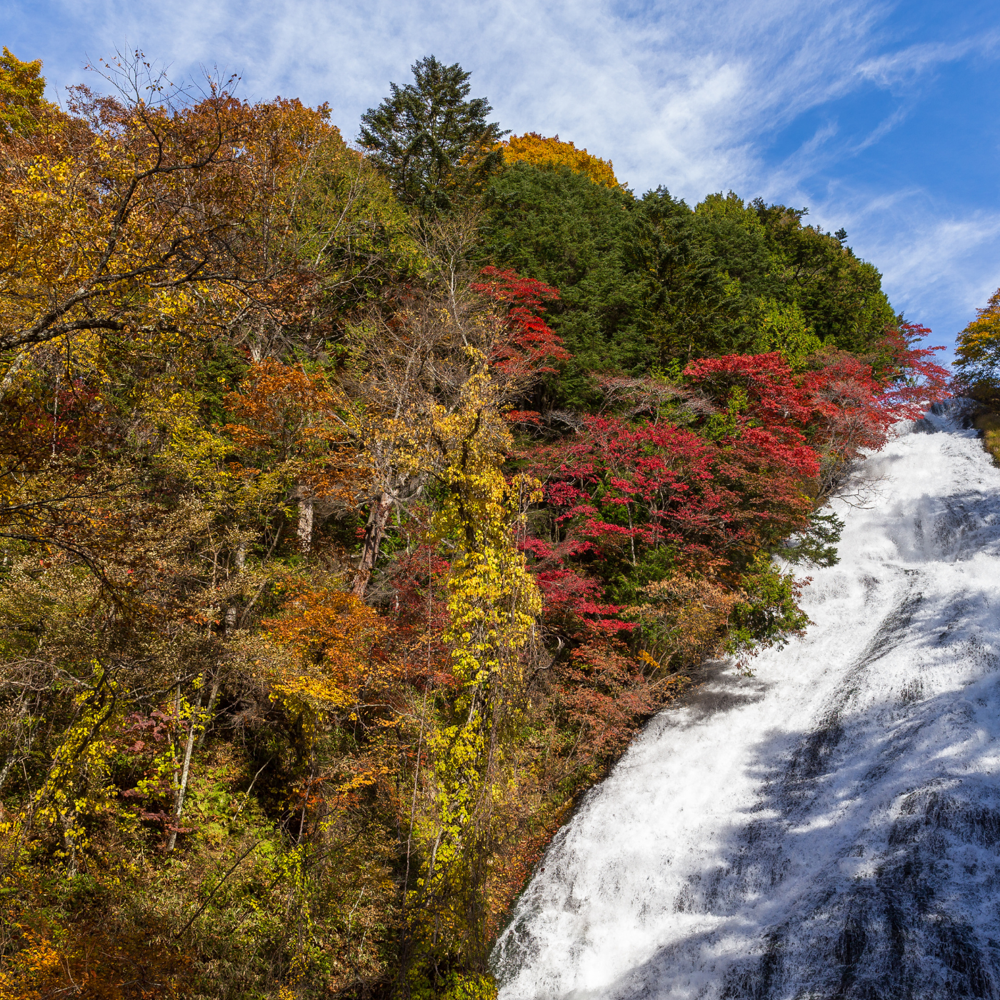 Private Nikko Day Tour from Tokyo – Fully Customizable