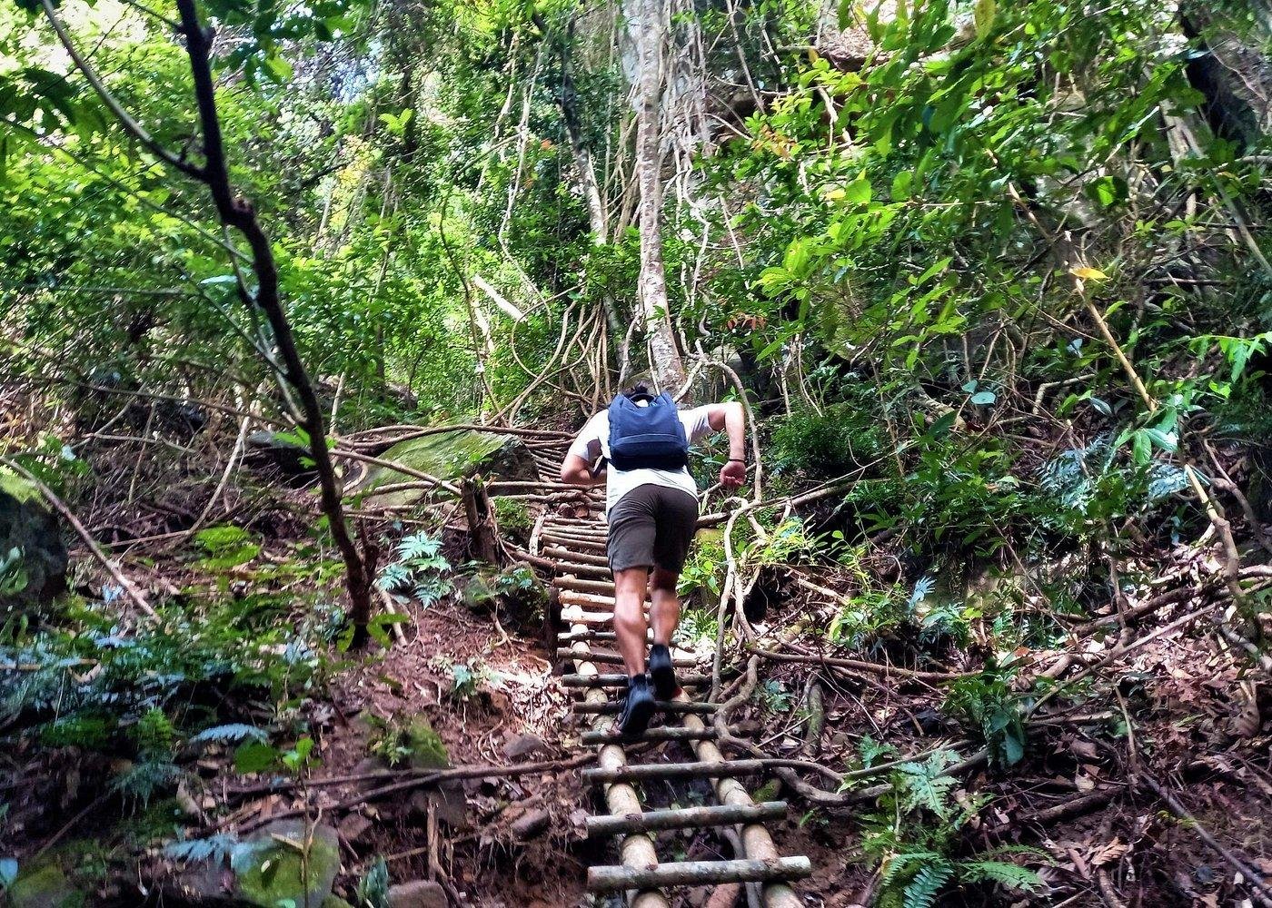 Suoi Tranh to Tien Son Peak Jungle Trek