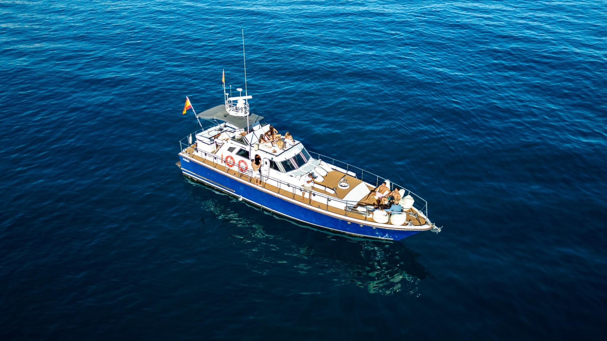Benalmádena Small-Group Dolphin Watching Boat Tour