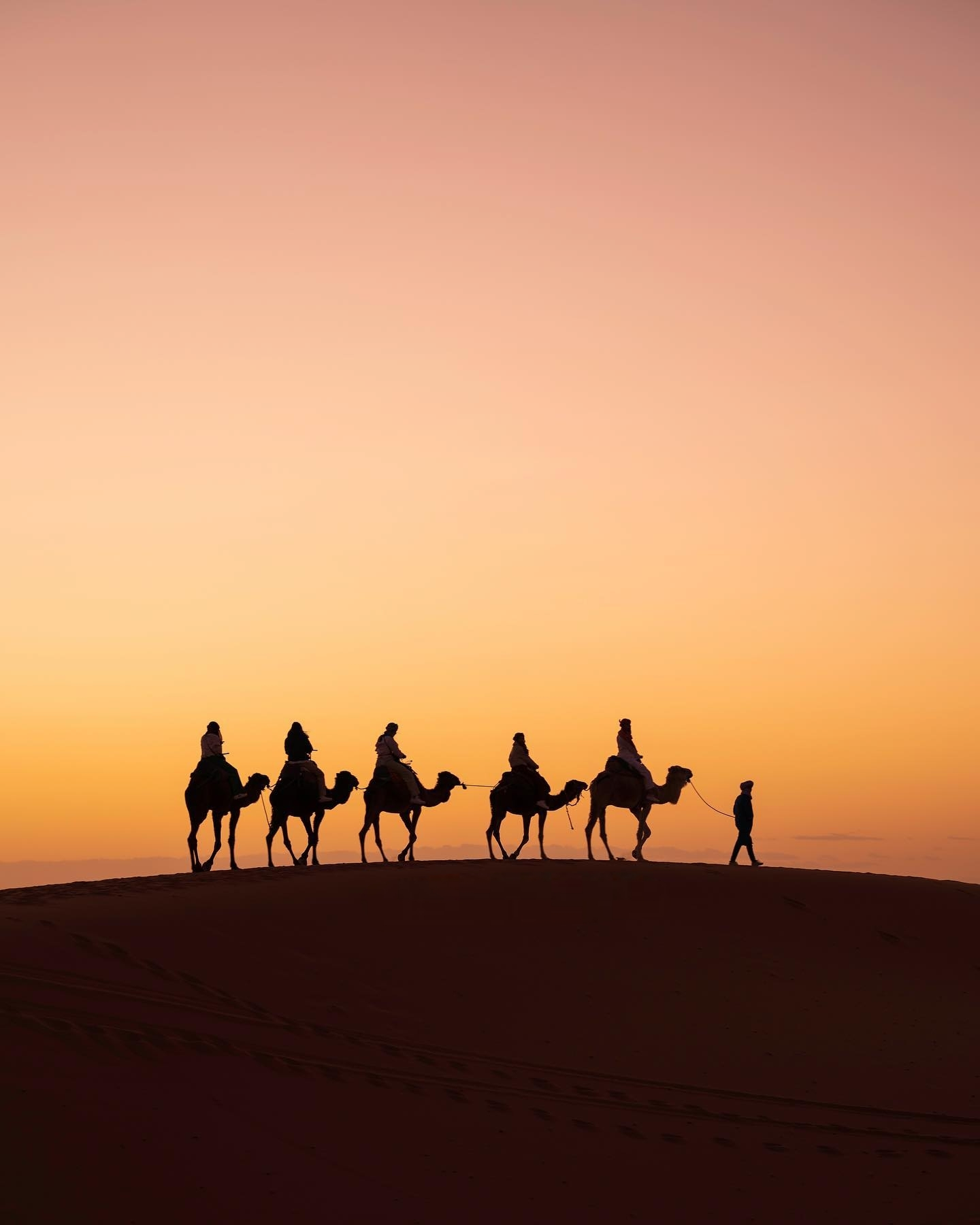 3-Day Marrakech to Fes Sahara Desert Expedition