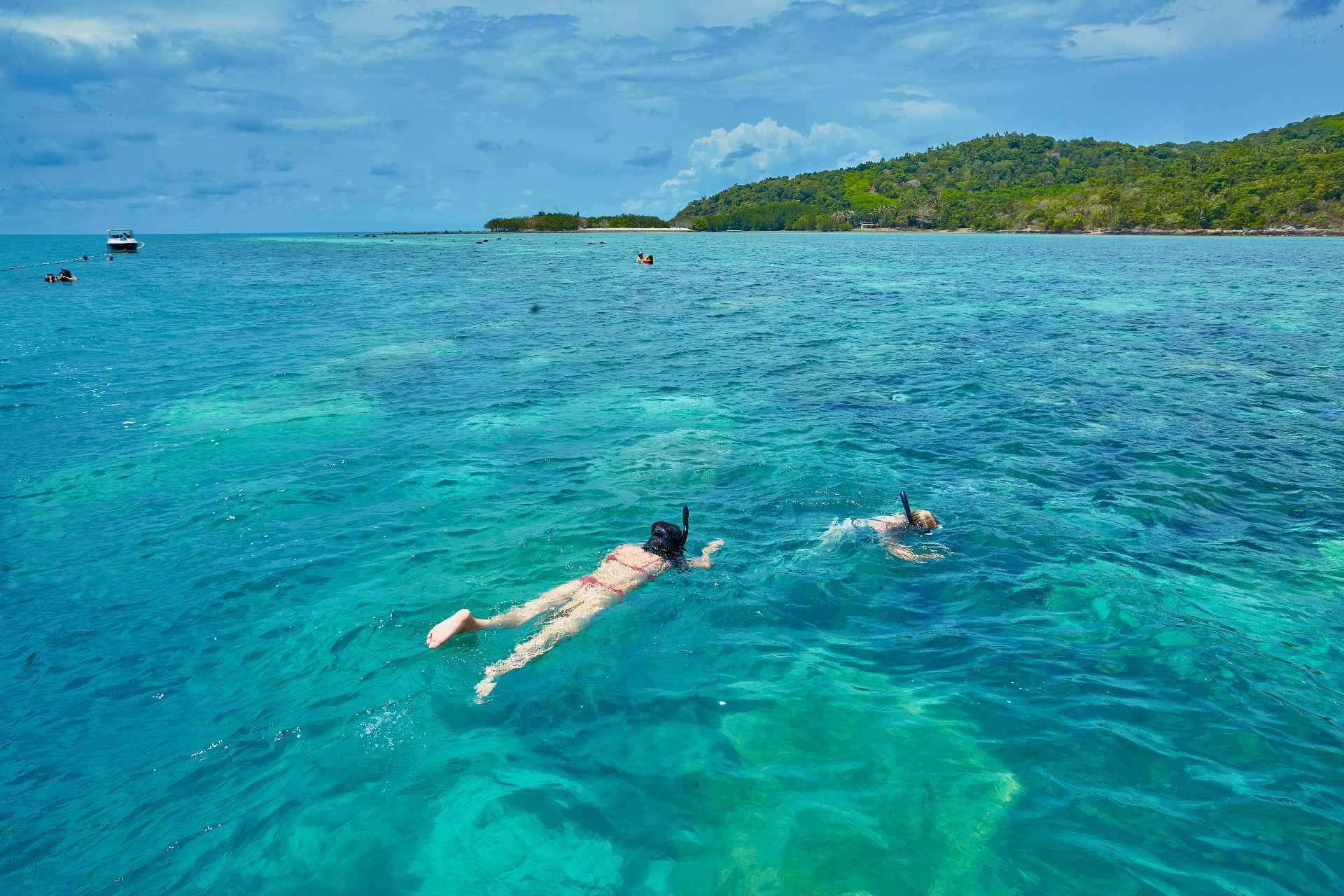 Pig Island & Koh Tan Snorkeling Express