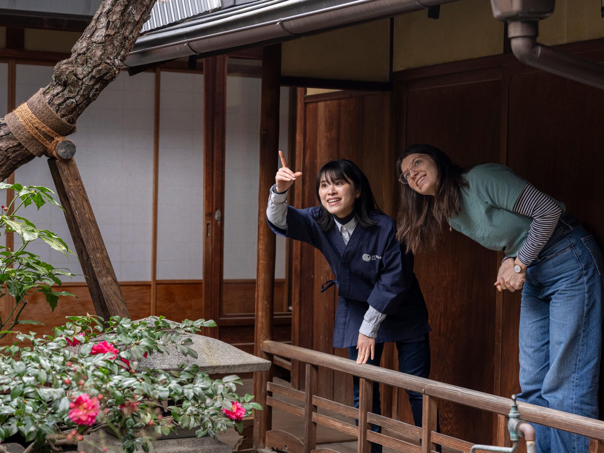 Kyoto experience — temples, geisha, bamboo grove — image 14