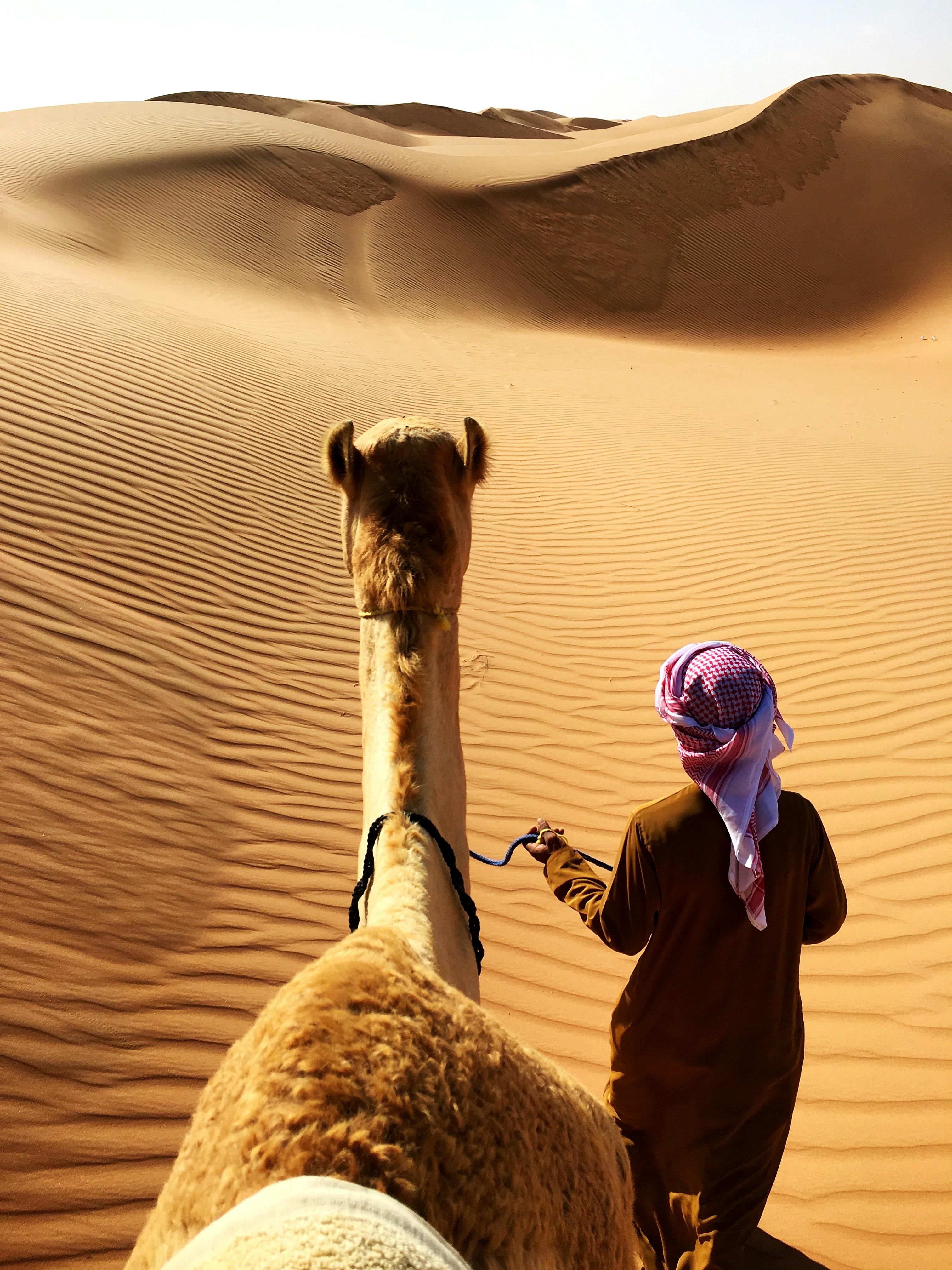 Private Wahiba Sands Desert Overnight Adventure