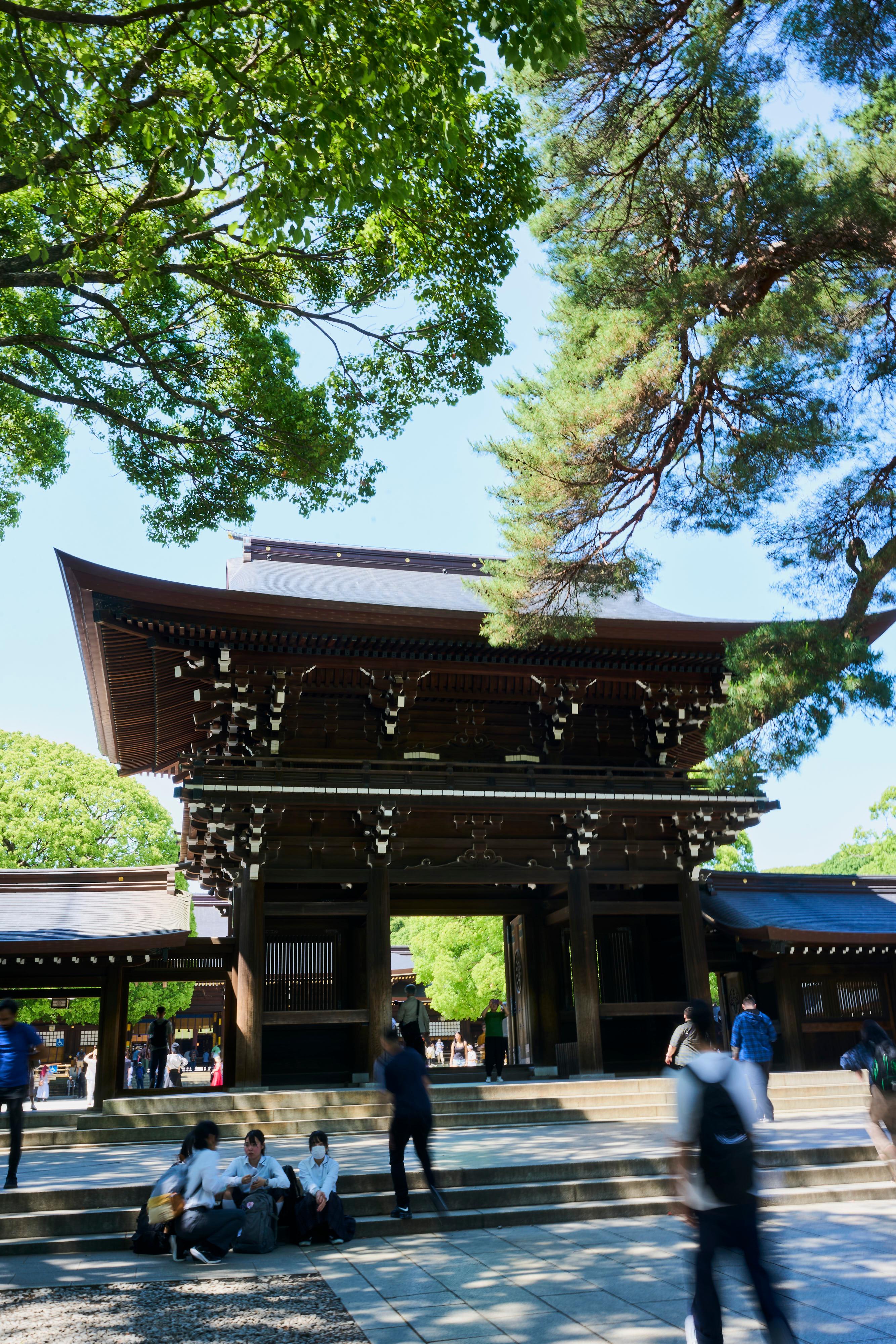 Tokyo Meiji Shrine Walking Tour: Shinto Faith & Imperial Legacy