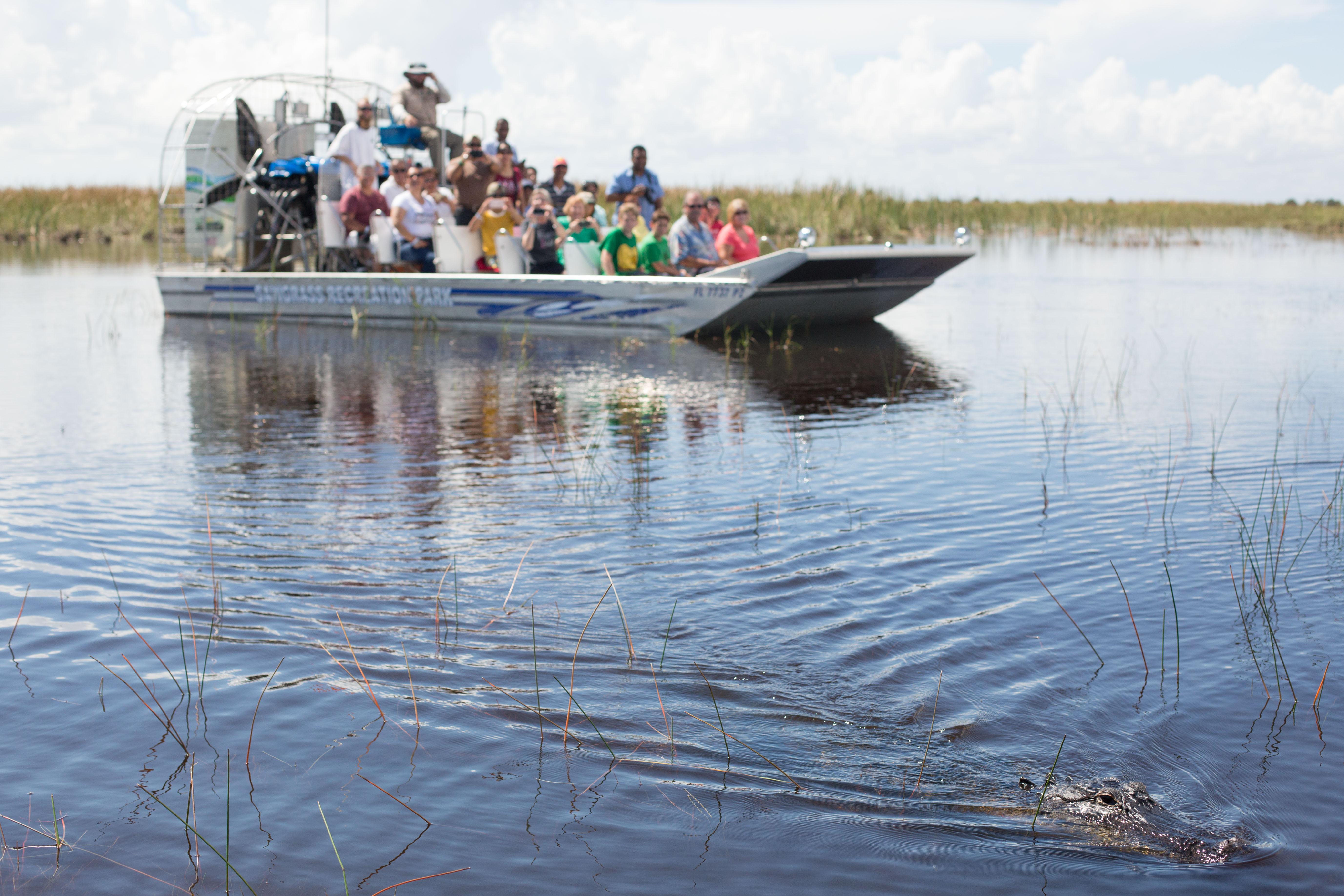 Miami Ultimate 3-in-1: Everglades, Bay Cruise & City Bus