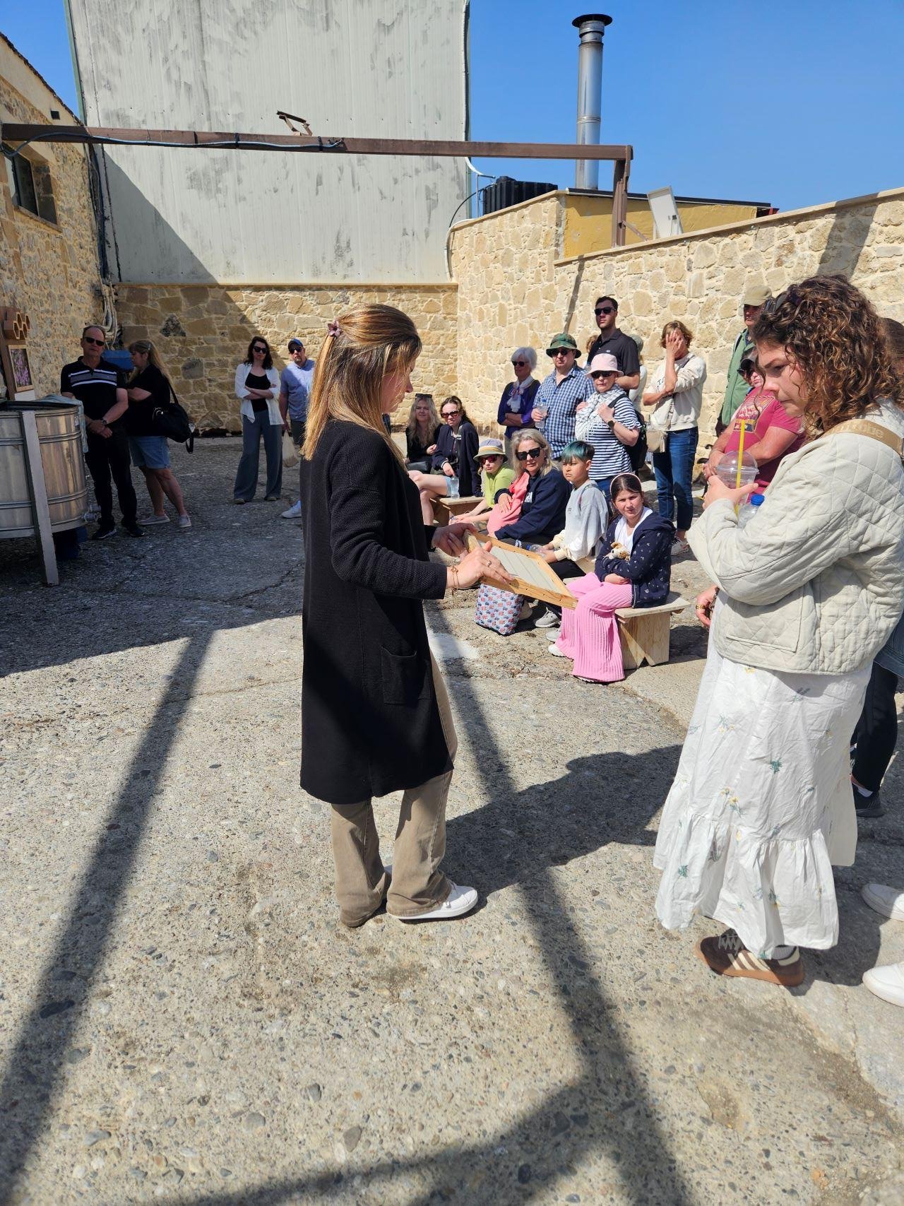 cheese tasting in Crete — photo 13