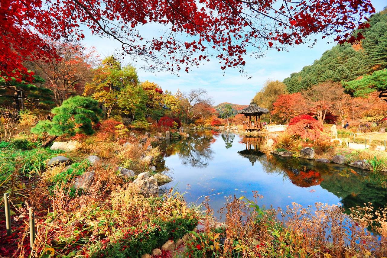 Gapyeong Discovery: Nami Island, Morning Calm Garden & French Village