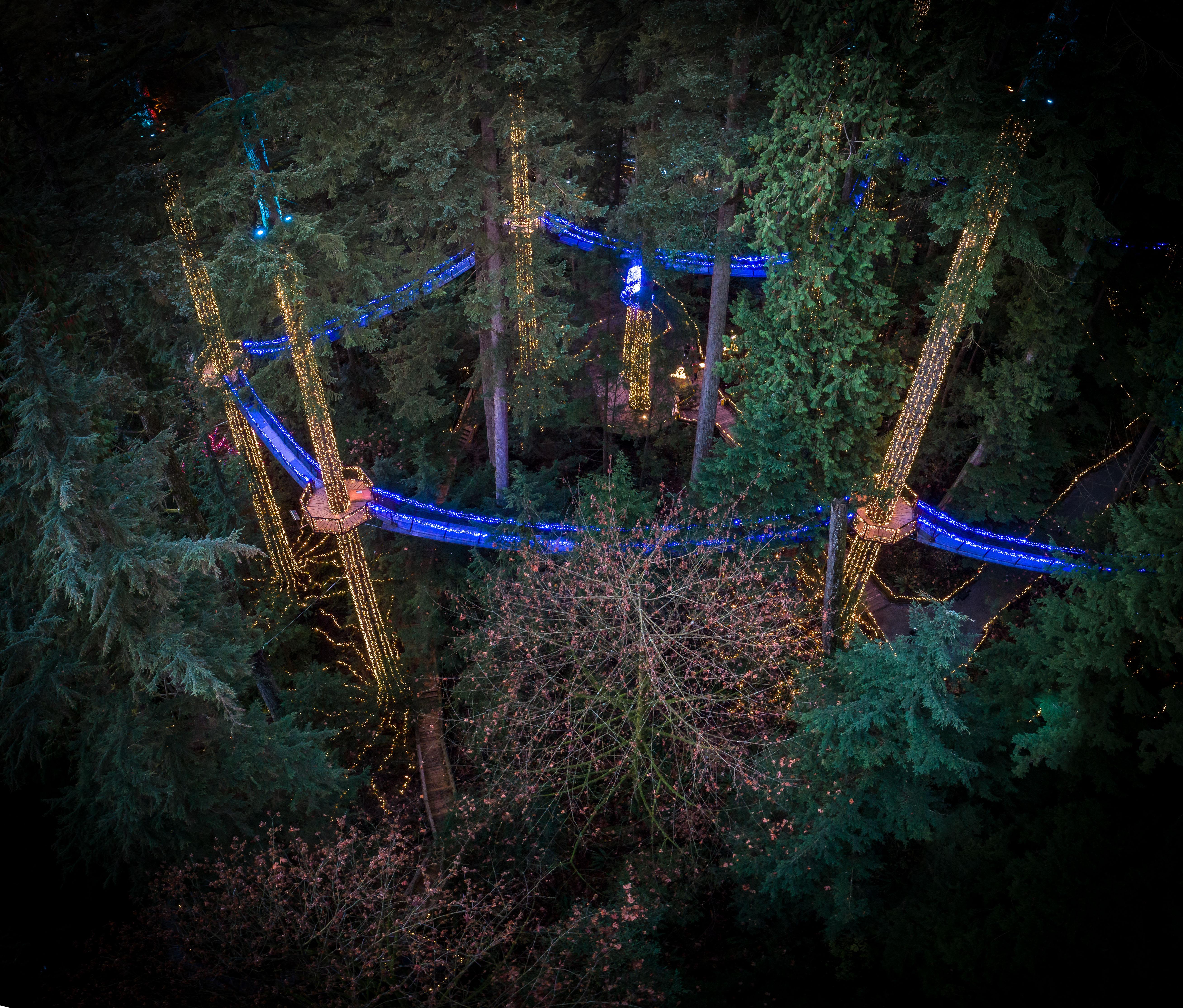 Capilano Suspension Bridge Park Entry