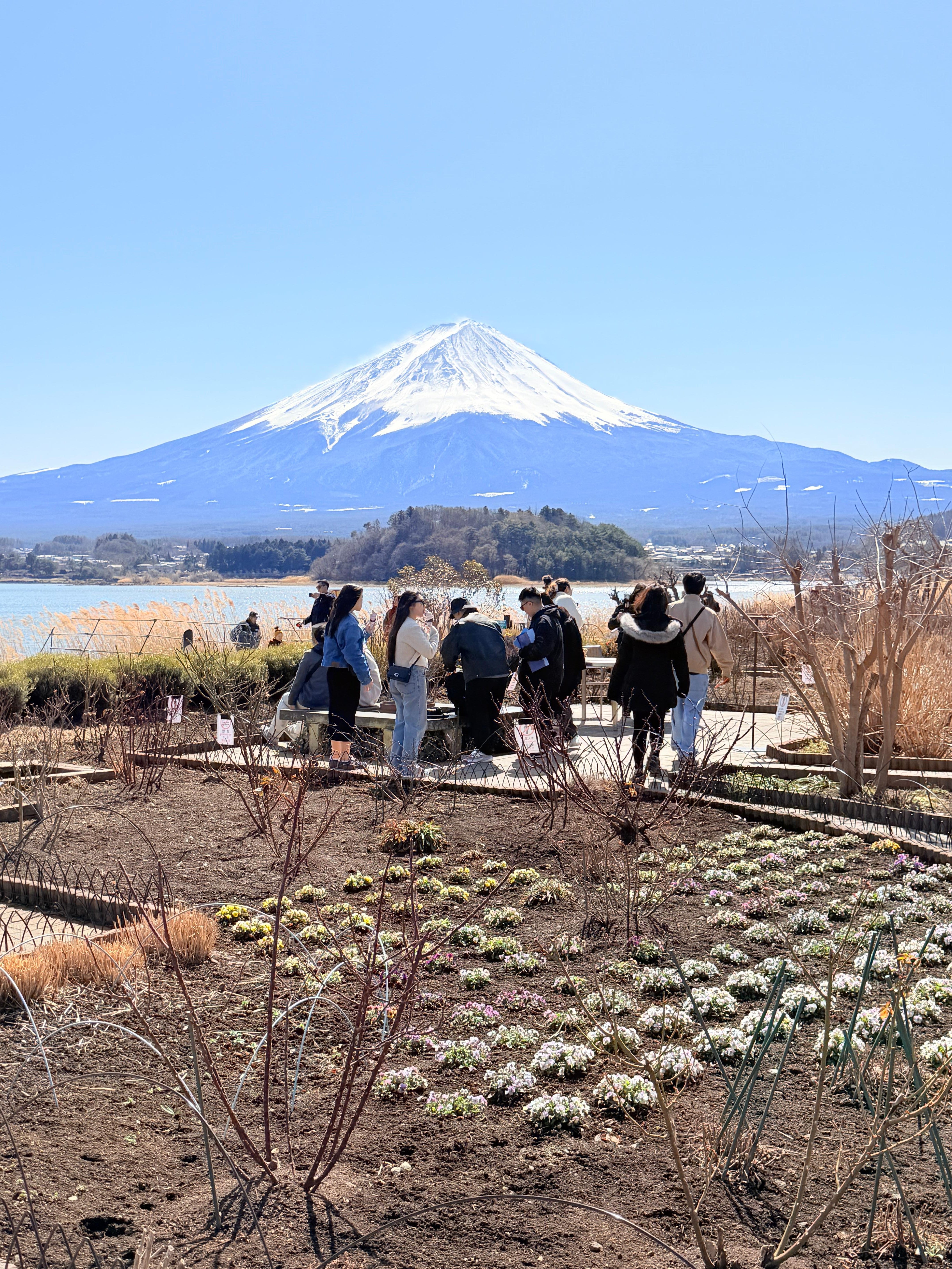 Tokyo to Mt. Fuji & Hakone: Private Full-Day Tour with English Driver