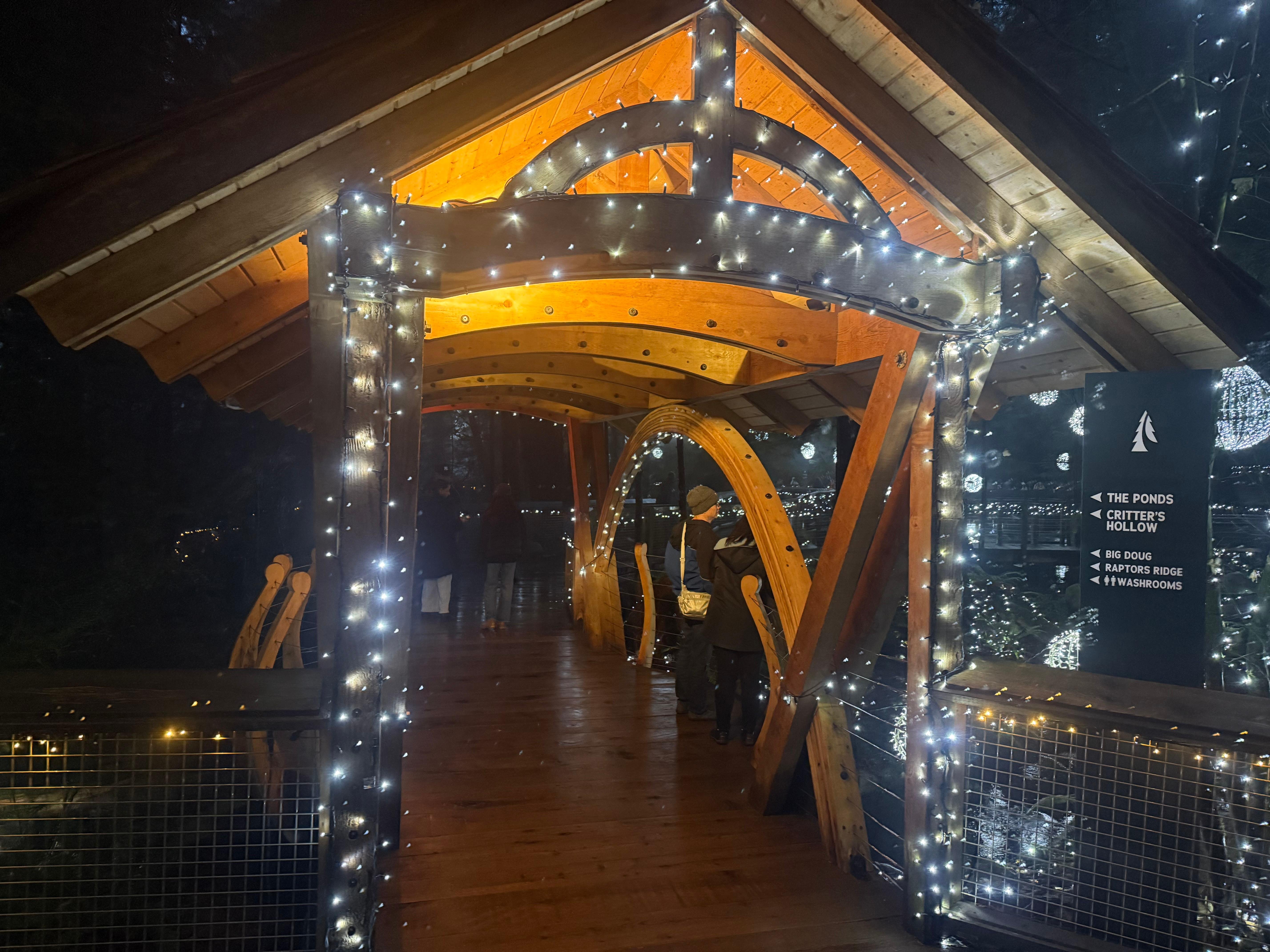 Capilano Suspension Bridge & Stanley Park Small Group Tour