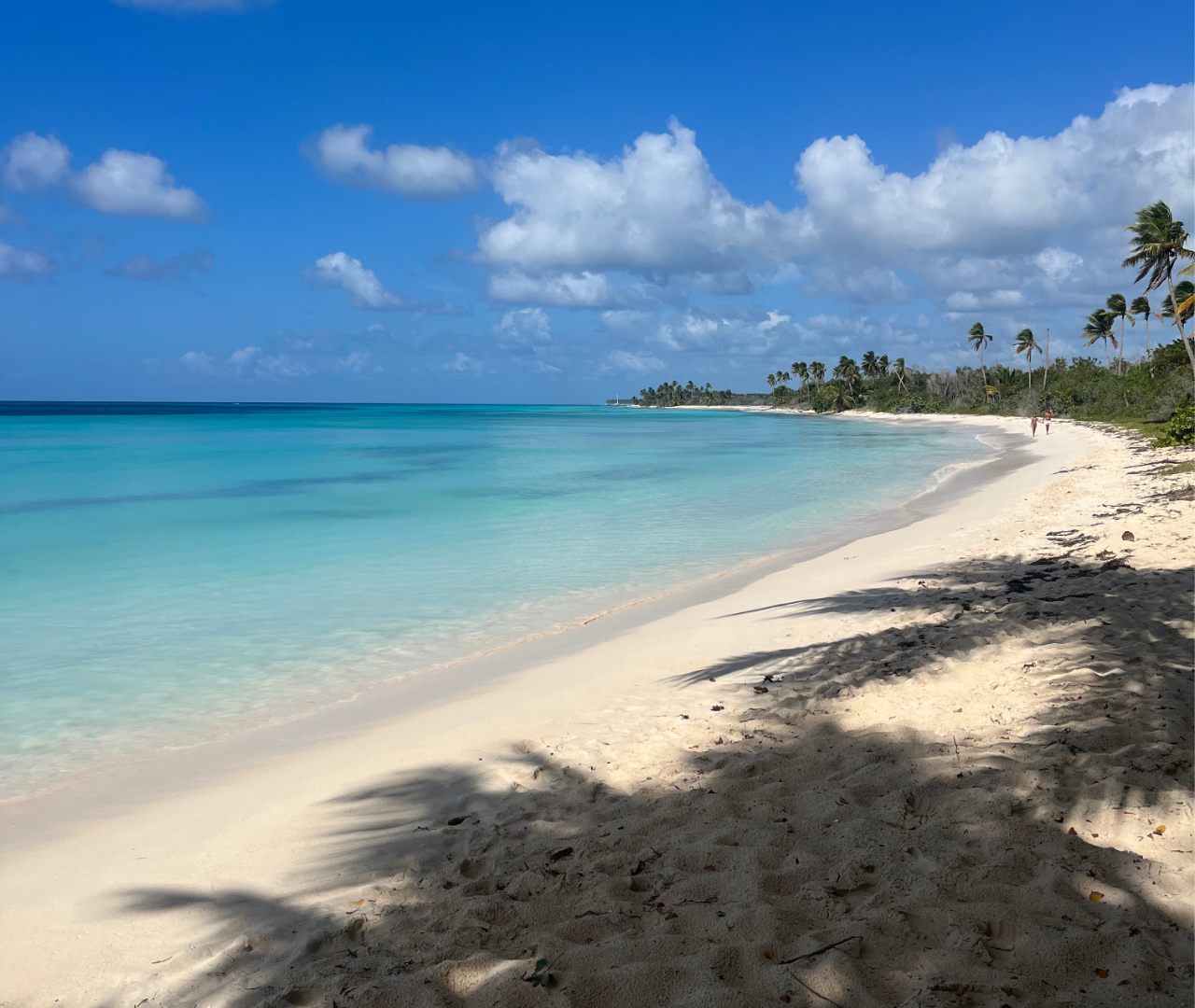 Private Speedboat Escape to Saona Island