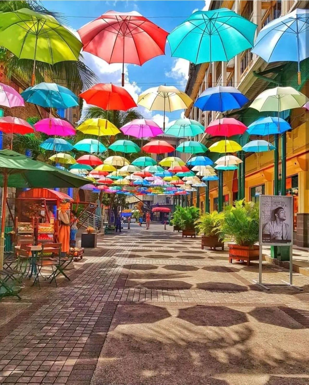 Full-Day Northern Mauritius Discovery Tour