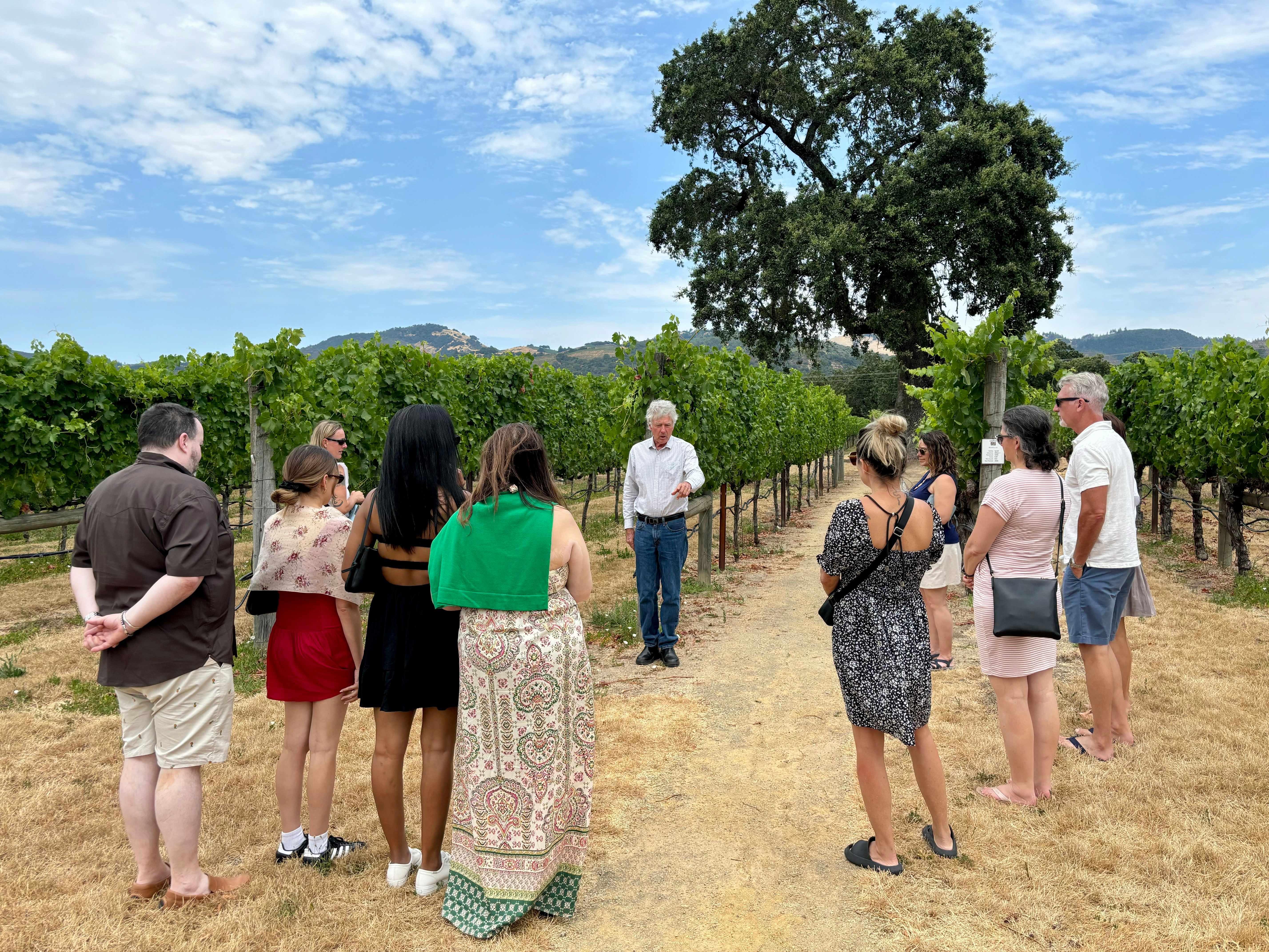 Sonoma Valley Winery Tour with Picnic Lunch