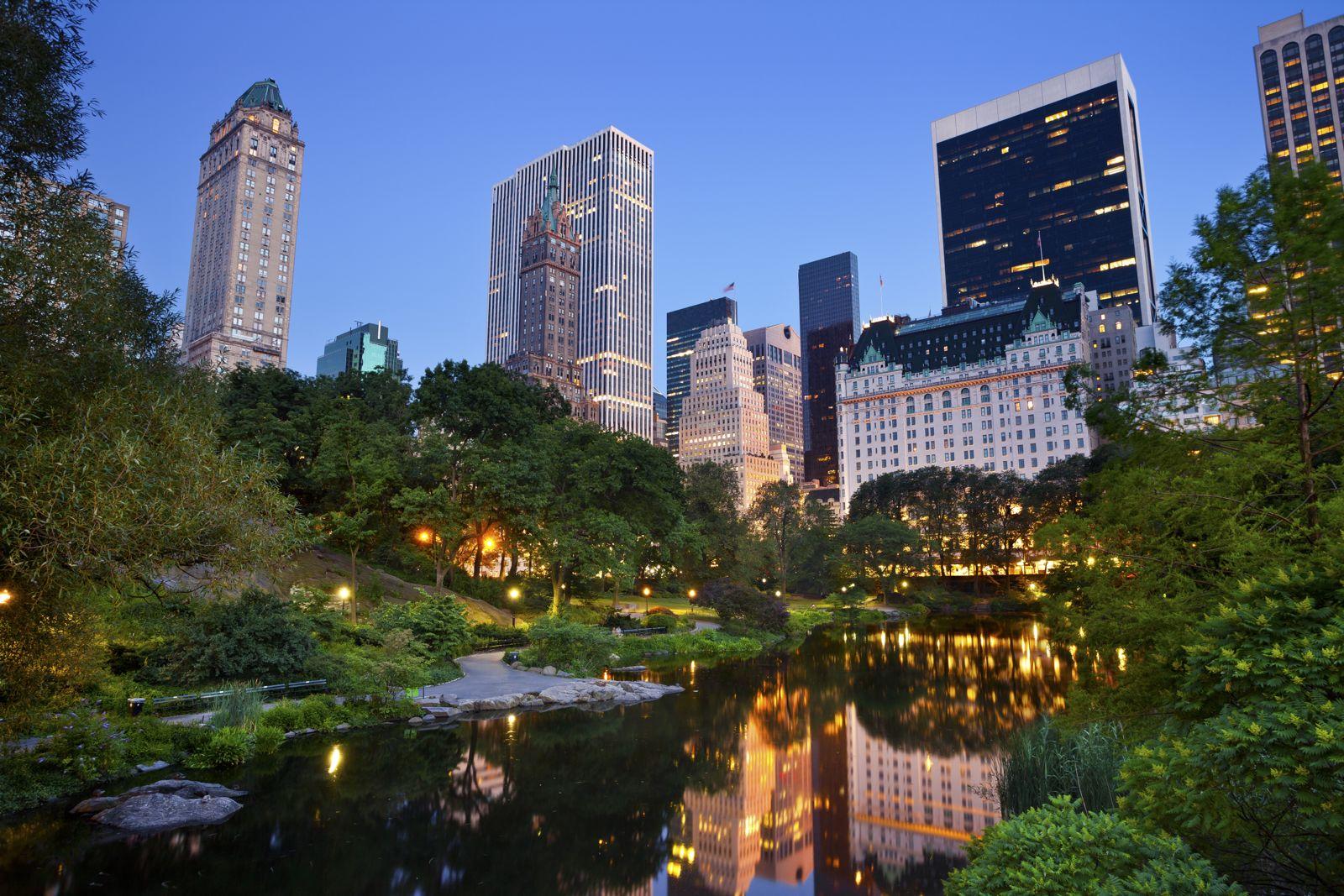 NYC Central Park Guided Pedicab Experience