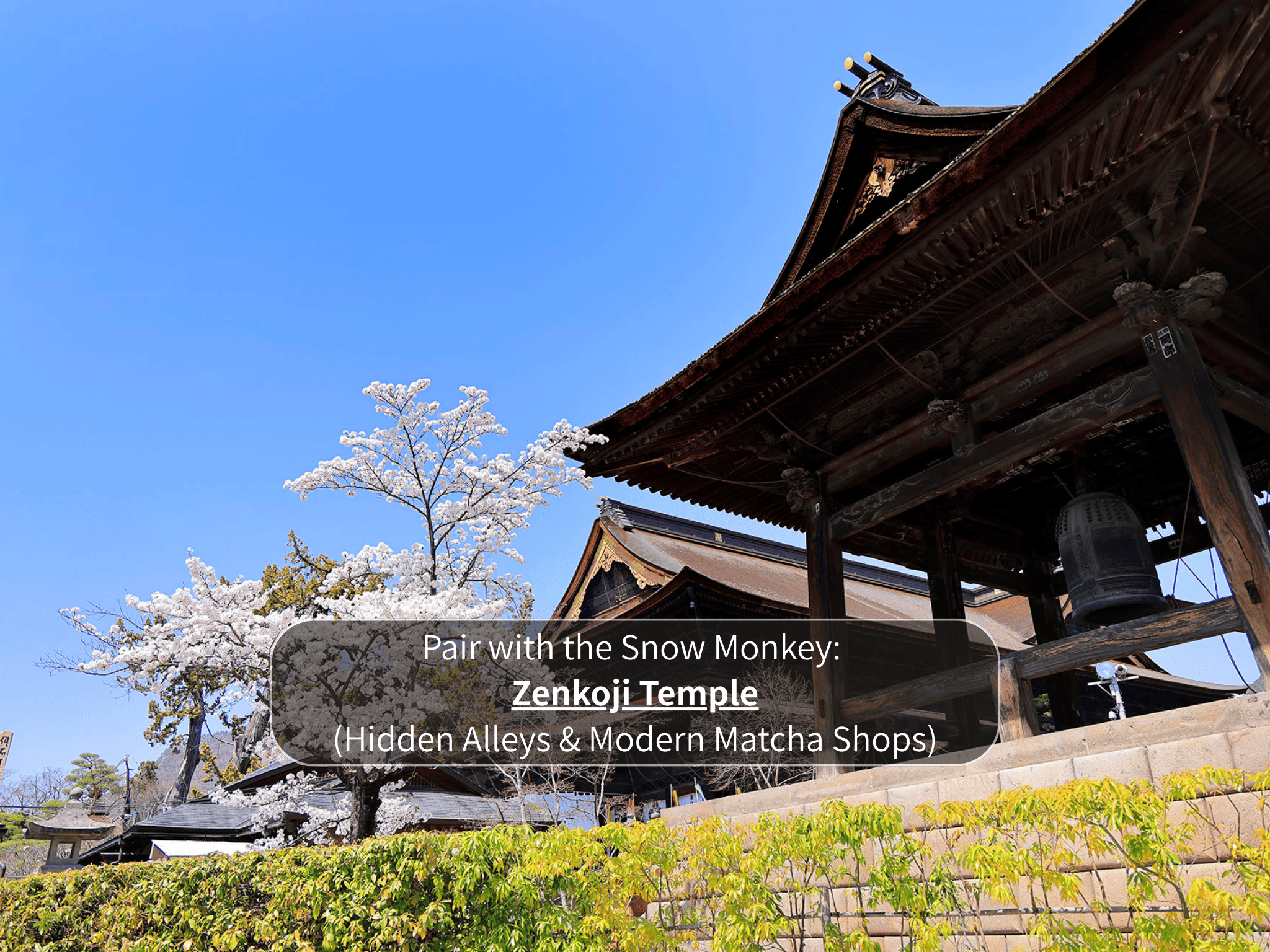 Nagano Snow Monkeys & Hidden Gems Private Day Tour