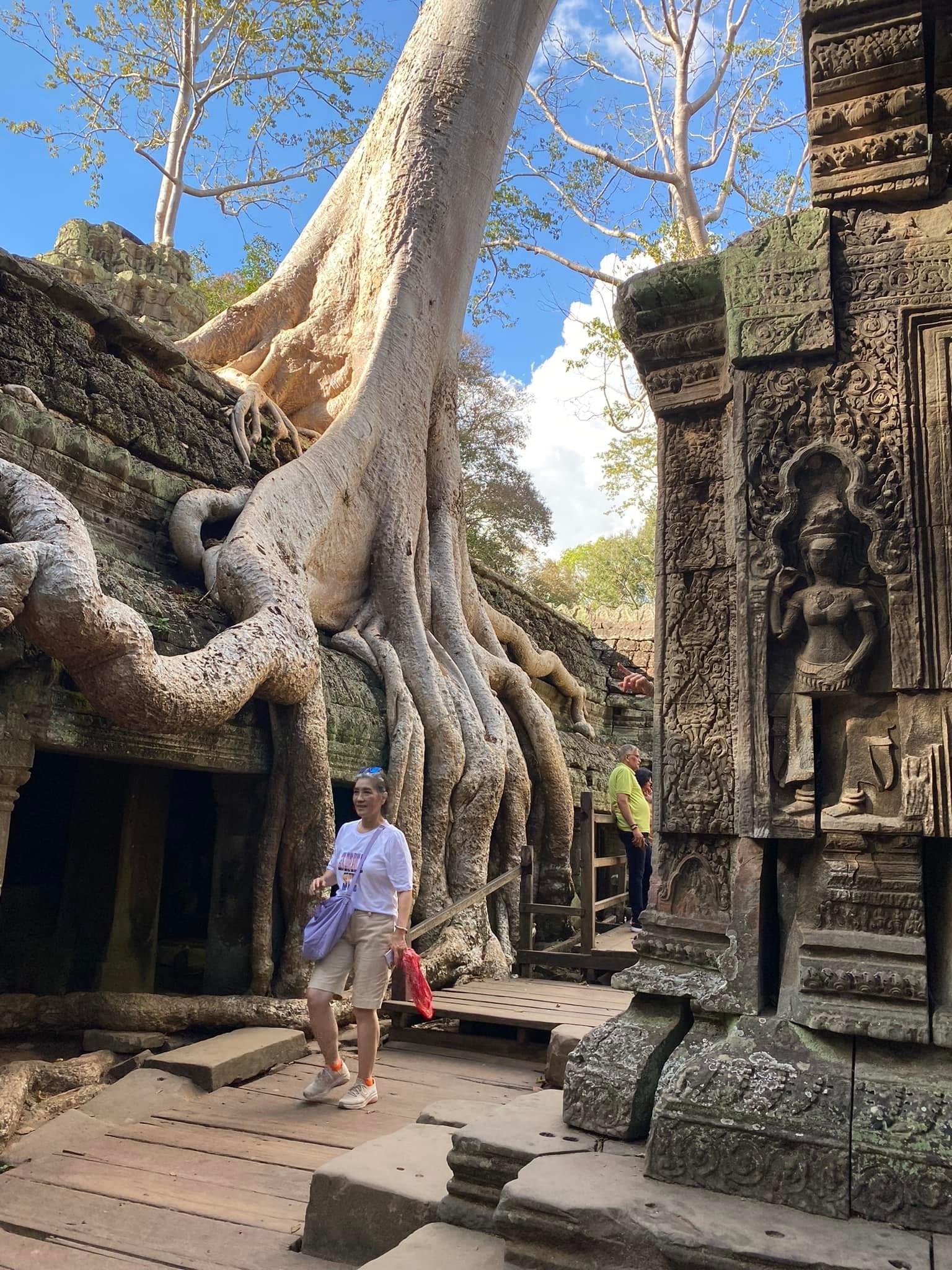 Siem Reap: Angkor Wat Sunrise & Multi-Temple Small Group Tour