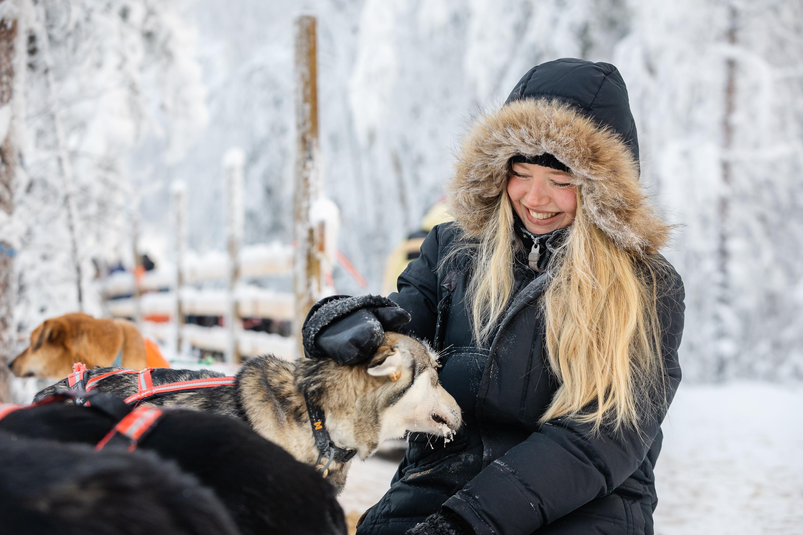 Rovaniemi Daytime Husky Safari