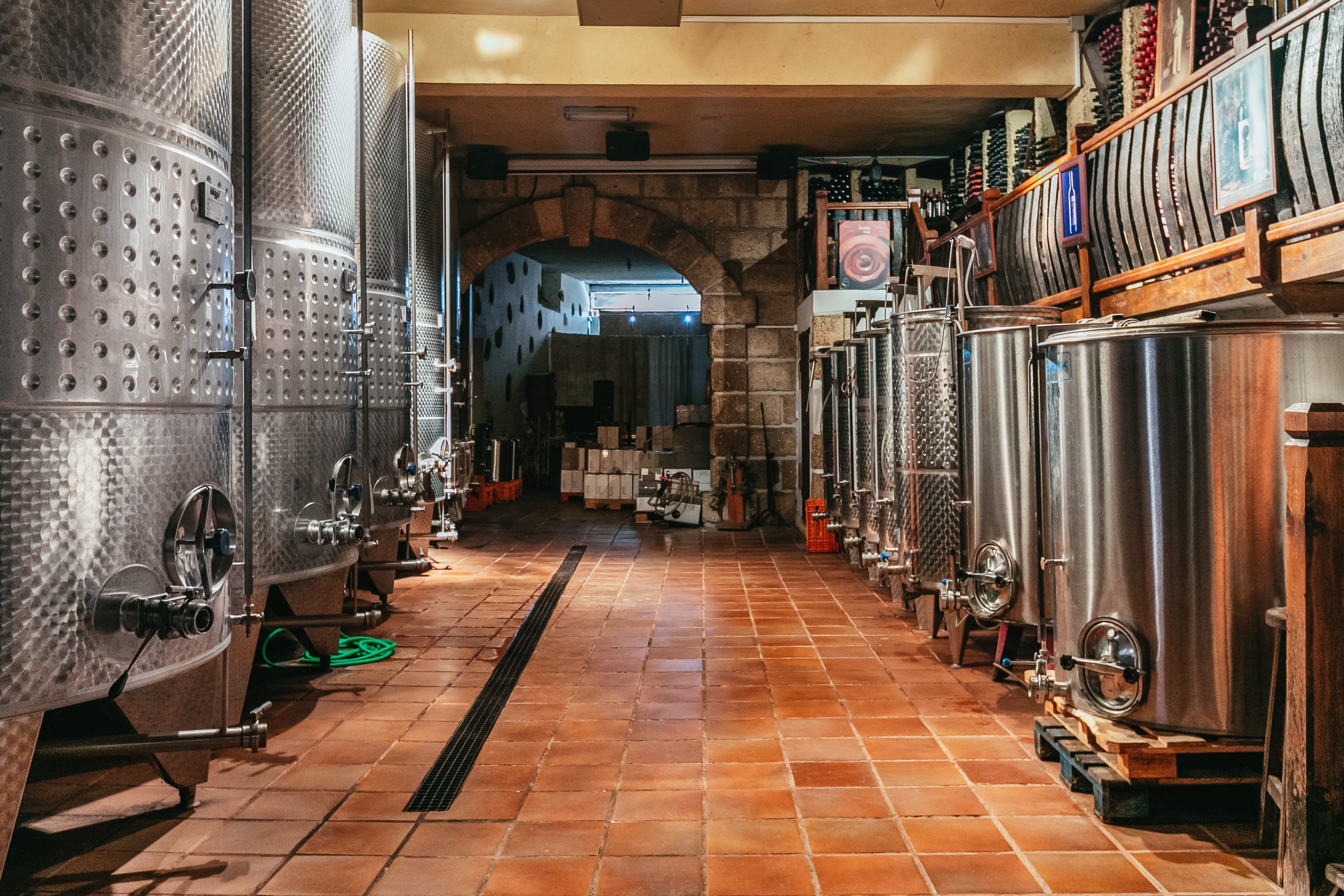 wine tour in Tenerife — photo 6