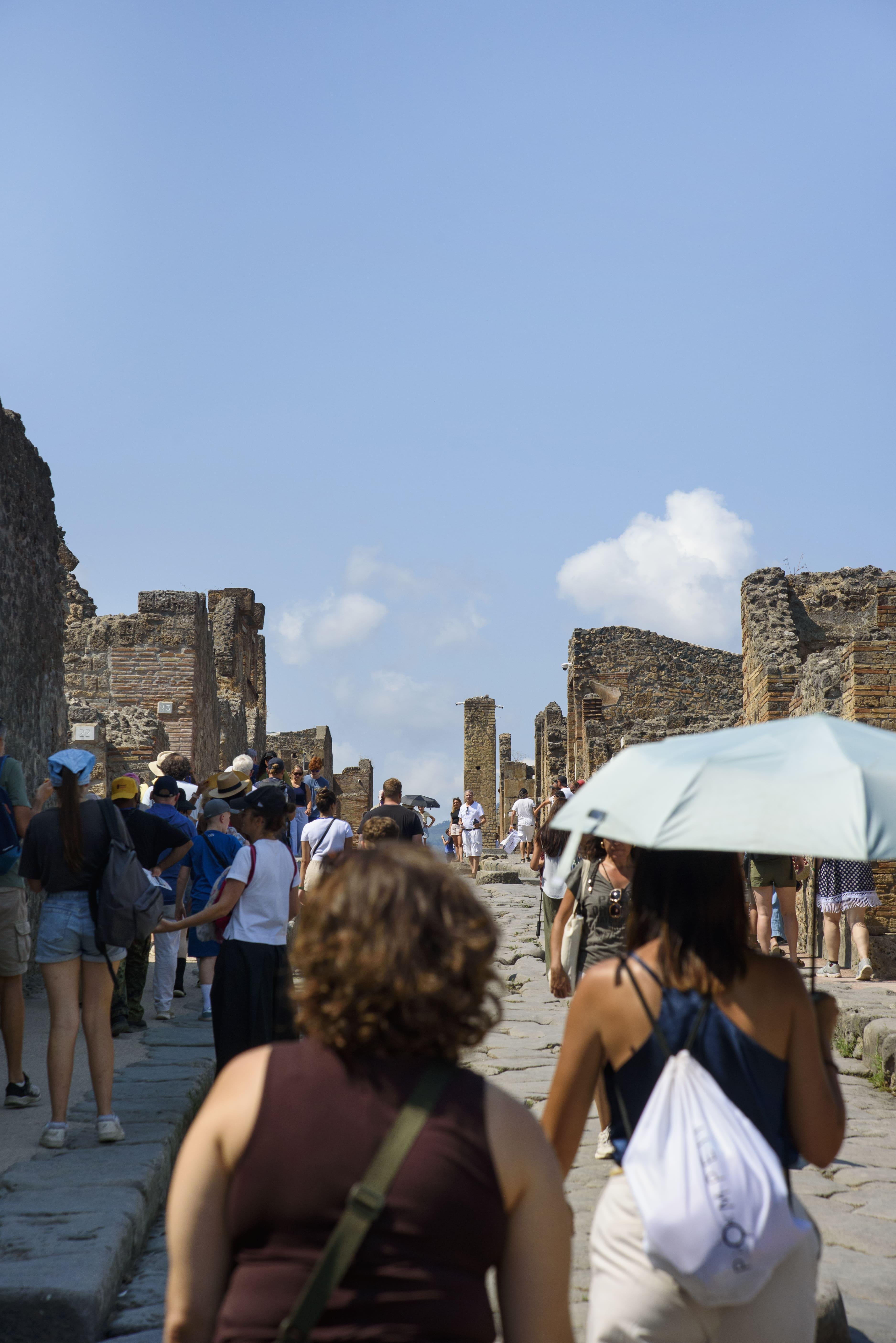 From Naples: Pompeii and Vesuvius Guided Day Trip with Lunch