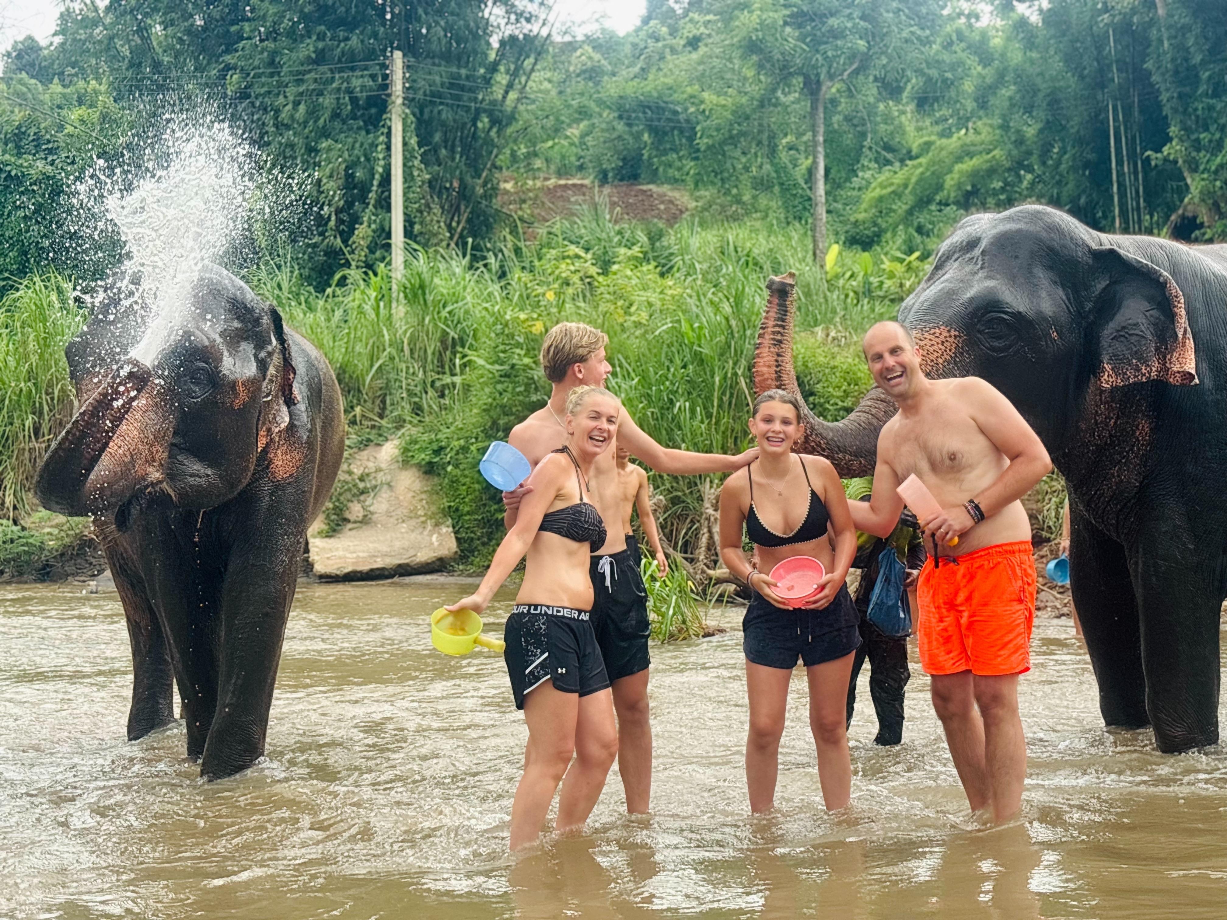 Elephant Sanctuary and Cooking Class — image 12