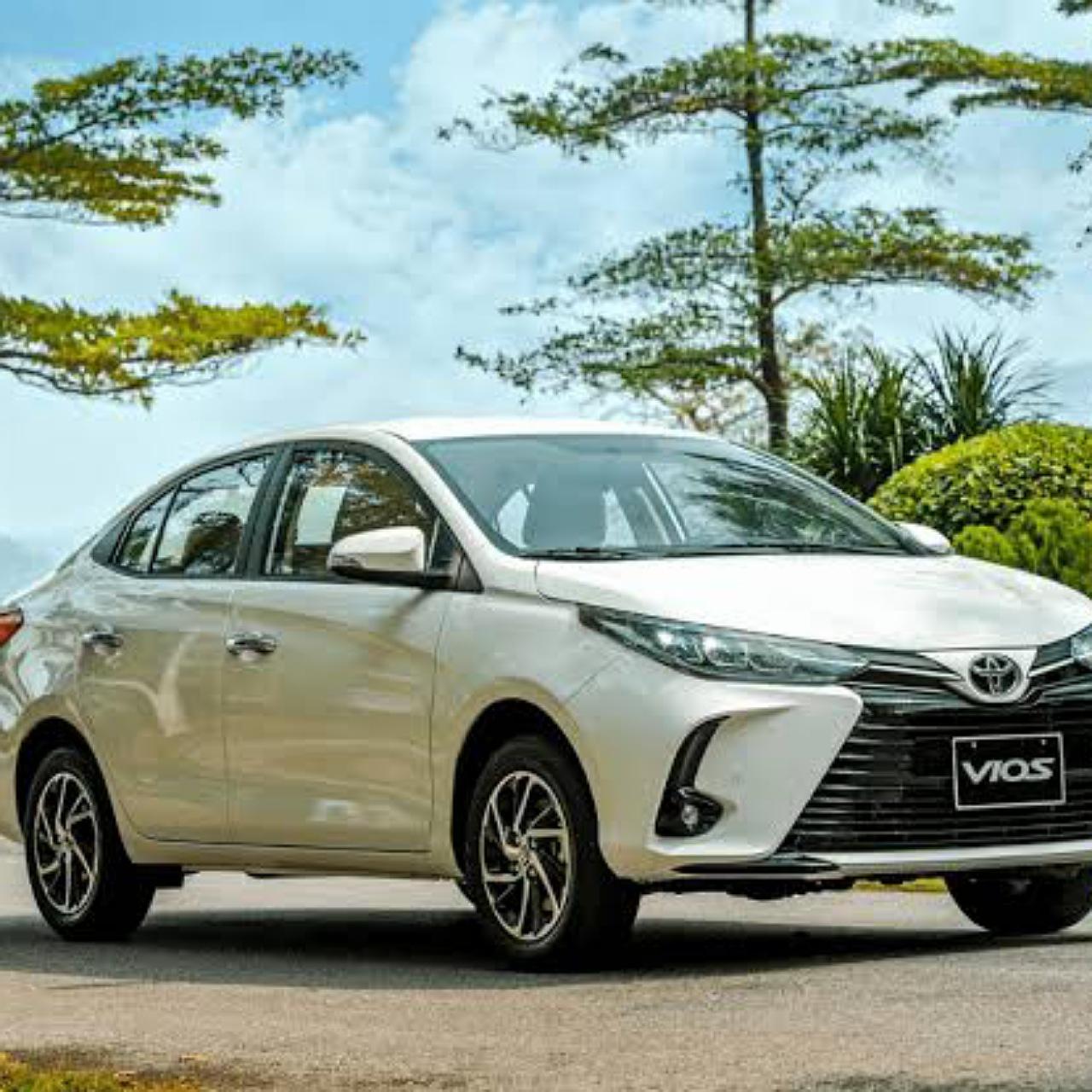 Mactan-Cebu Airport to Moalboal Private Transfer