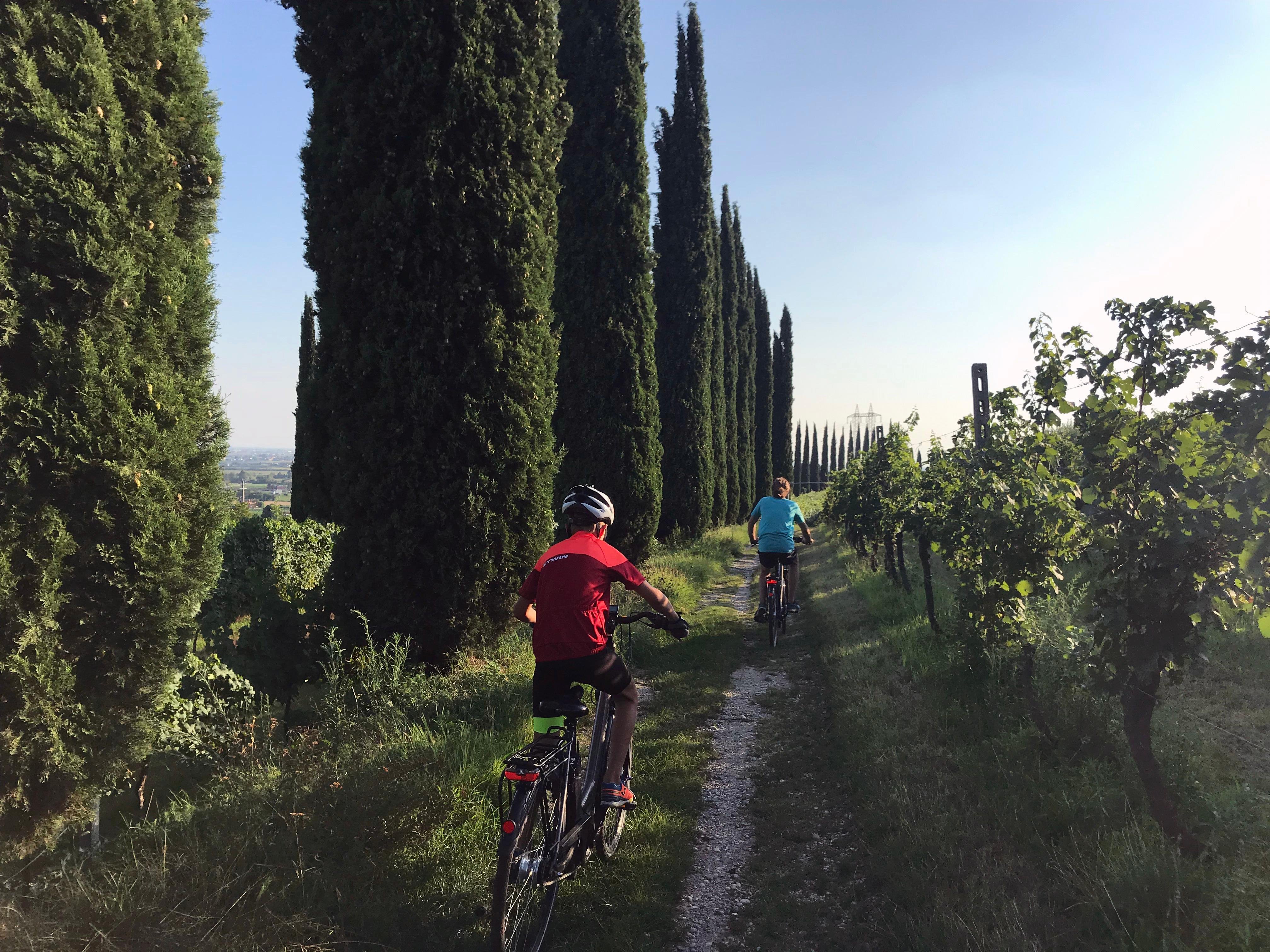 Custoza E-Bike Wine Tour from Villafranca di Verona