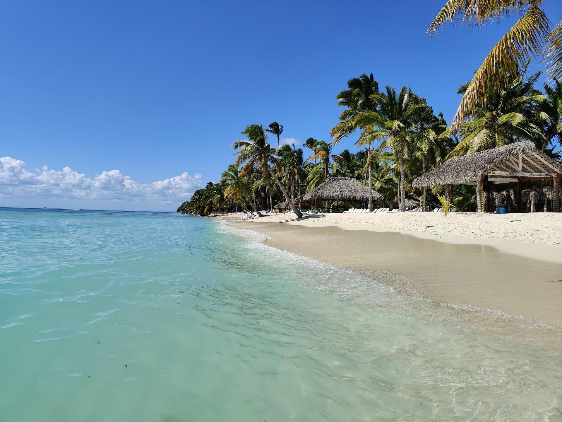 Saona Island VIP Catamaran Experience from Punta Cana