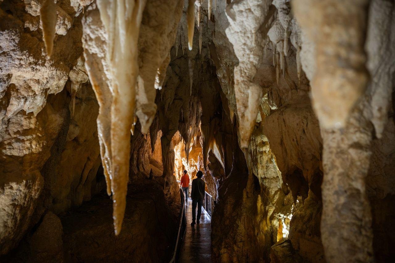 Waitomo Caves: Ruakuri Glowworm Cave Guided Walking Tour