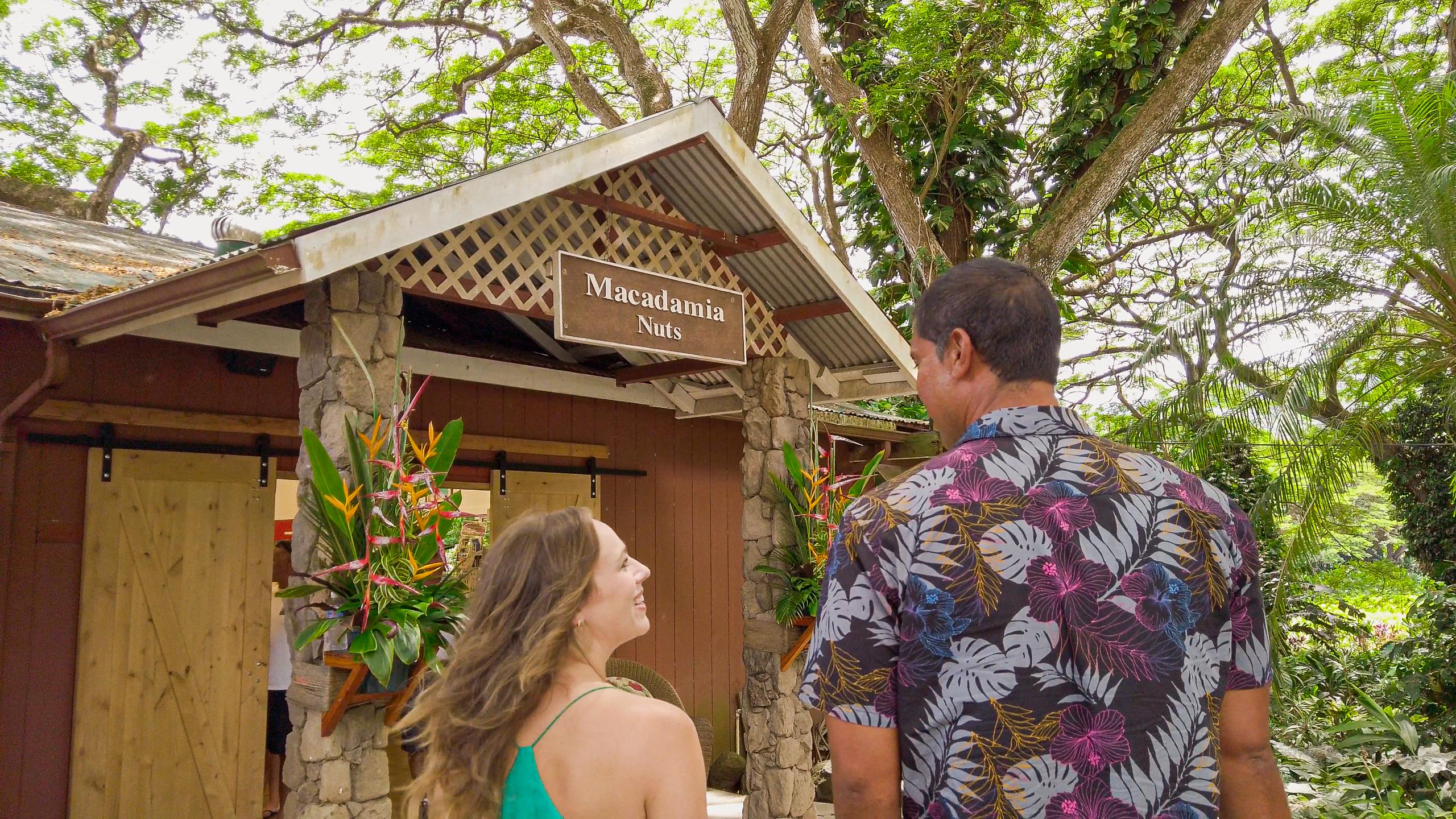 Oahu Full-Day Island Highlights Tour with Lunch