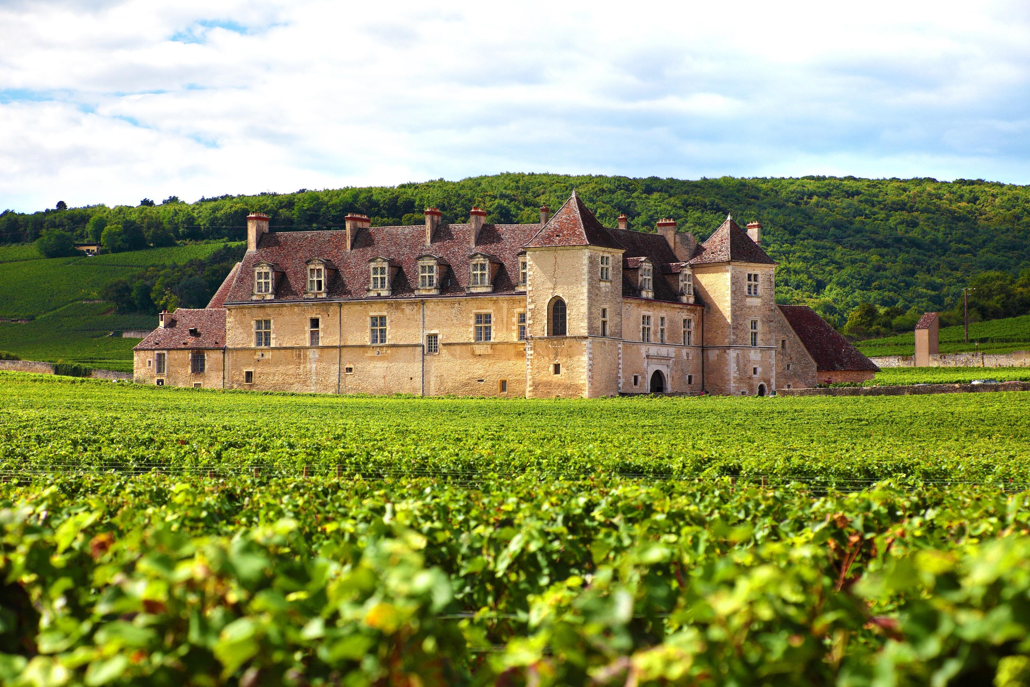 Côte de Nuits Wine Experience from Dijon
