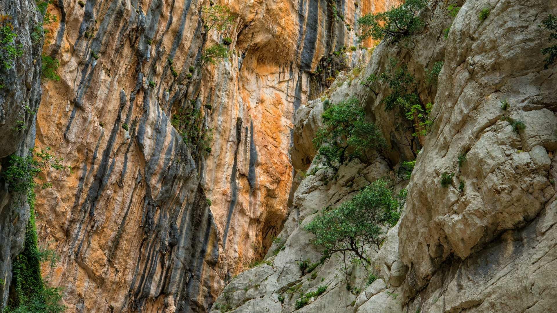 From Cala Gonone: Gorropu hiking with lunch - Gorropu Canyon, Sardinia