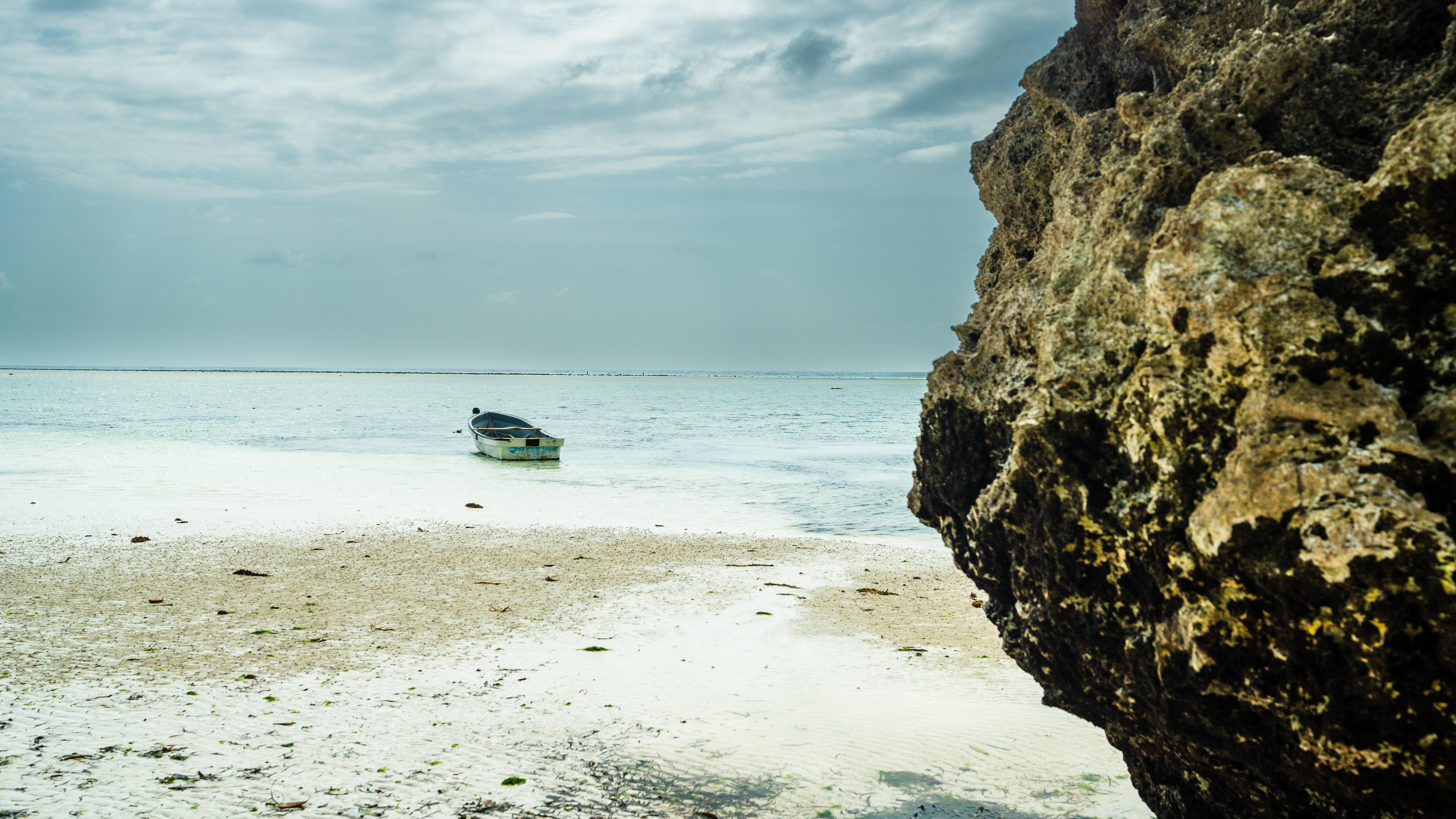 Zanzibar Hidden Gems: Secret Beach, Kuza Cave & Jozani Forest