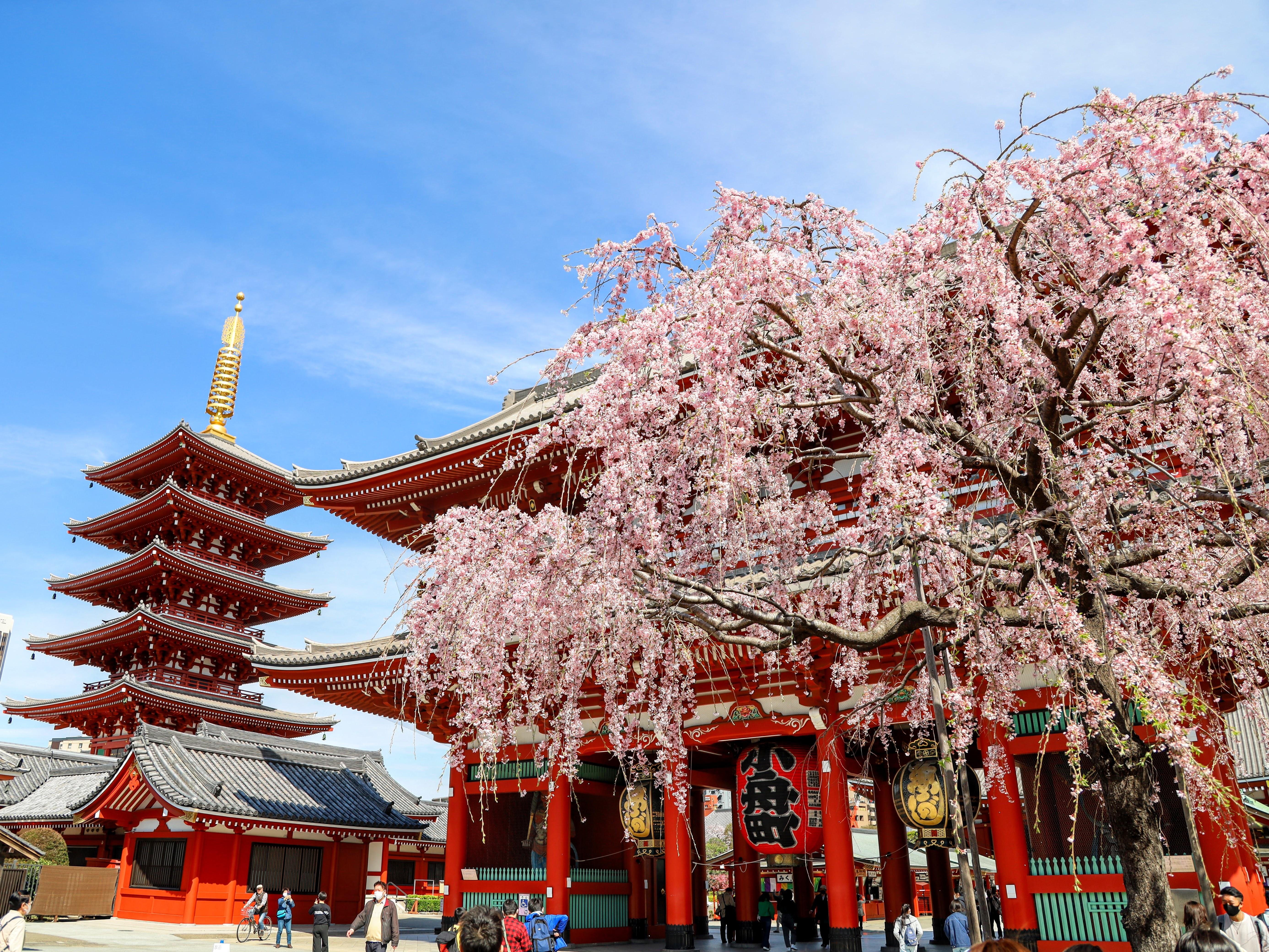 Tokyo Full-Day Highlights Bus Tour with Skytree & Bay Cruise