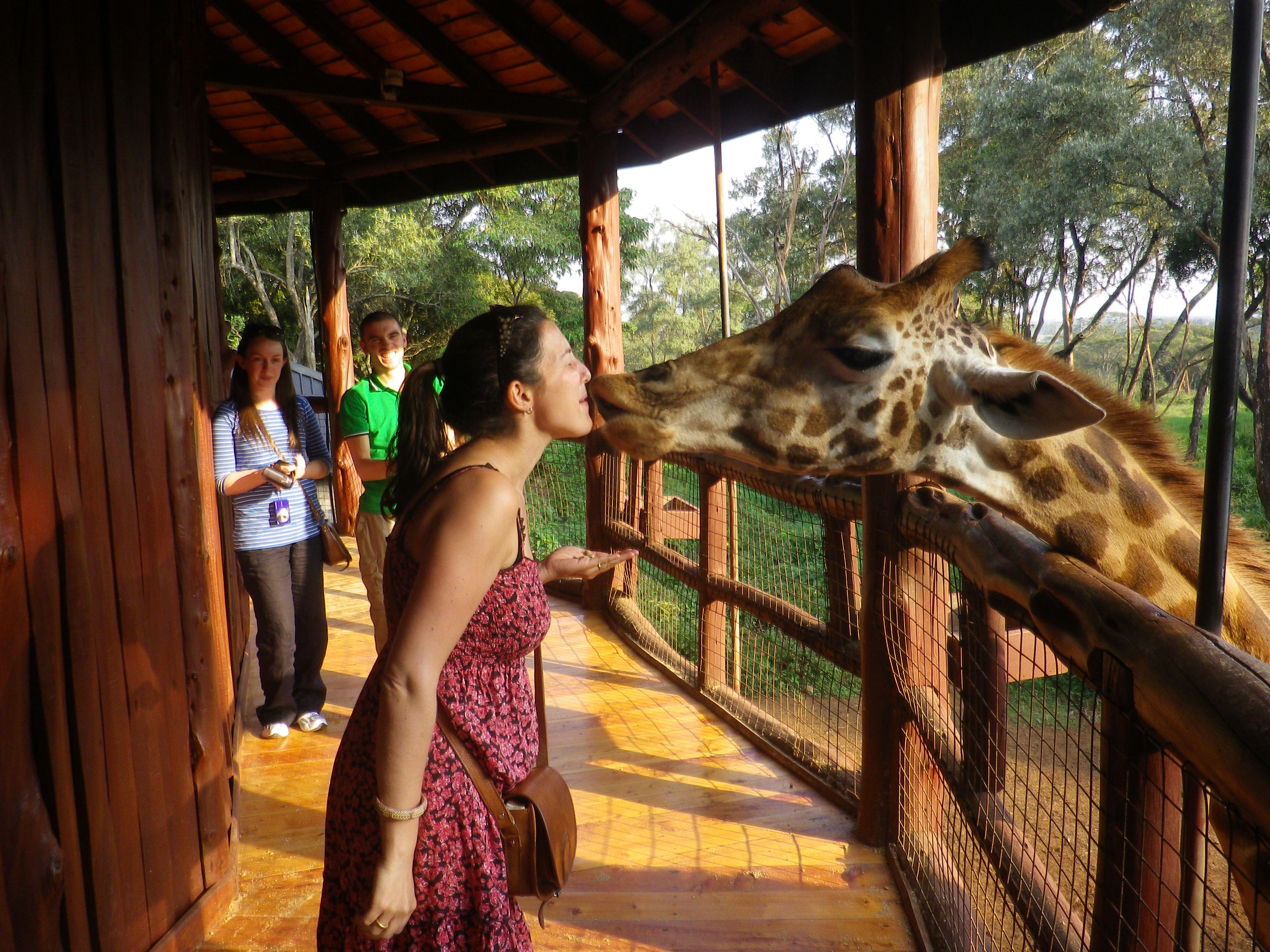 Nairobi Wildlife & History Day Tour