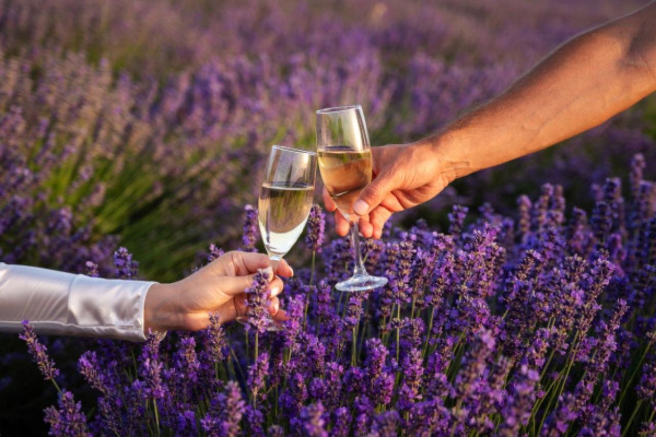 Valensole lavender fields in Provence — guided lavender tour photo 1